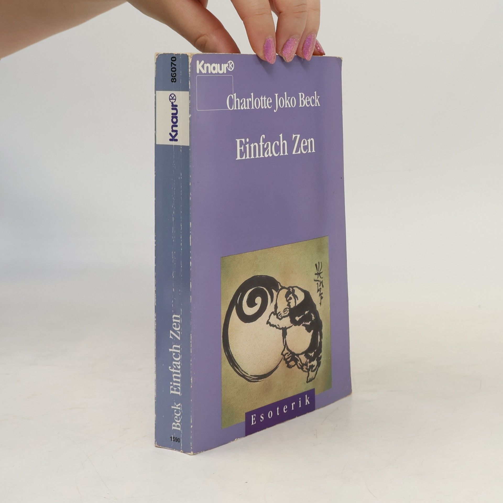 Joko Beck Einfach Zen