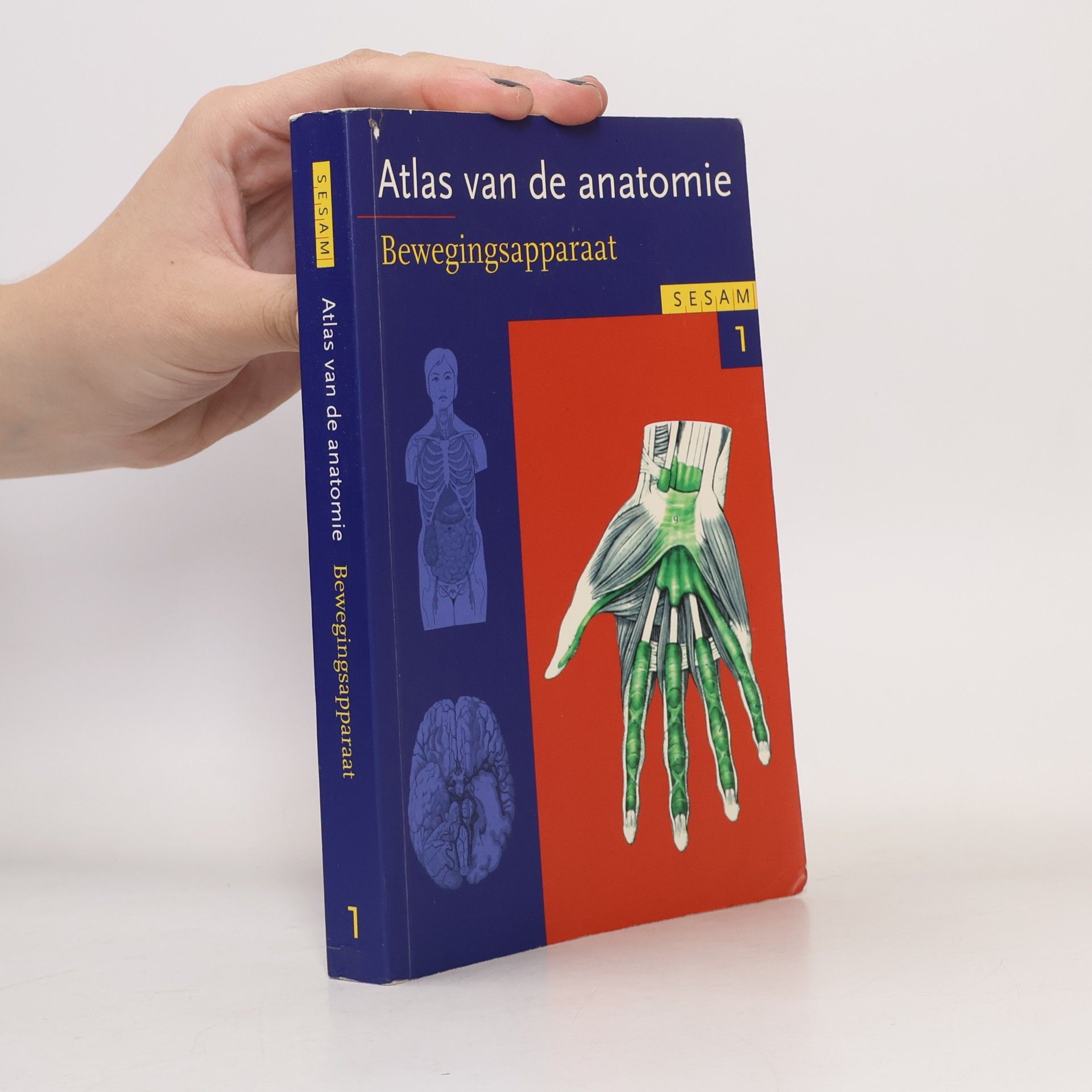 Verner Platcer Sesam atlas van de anatomie