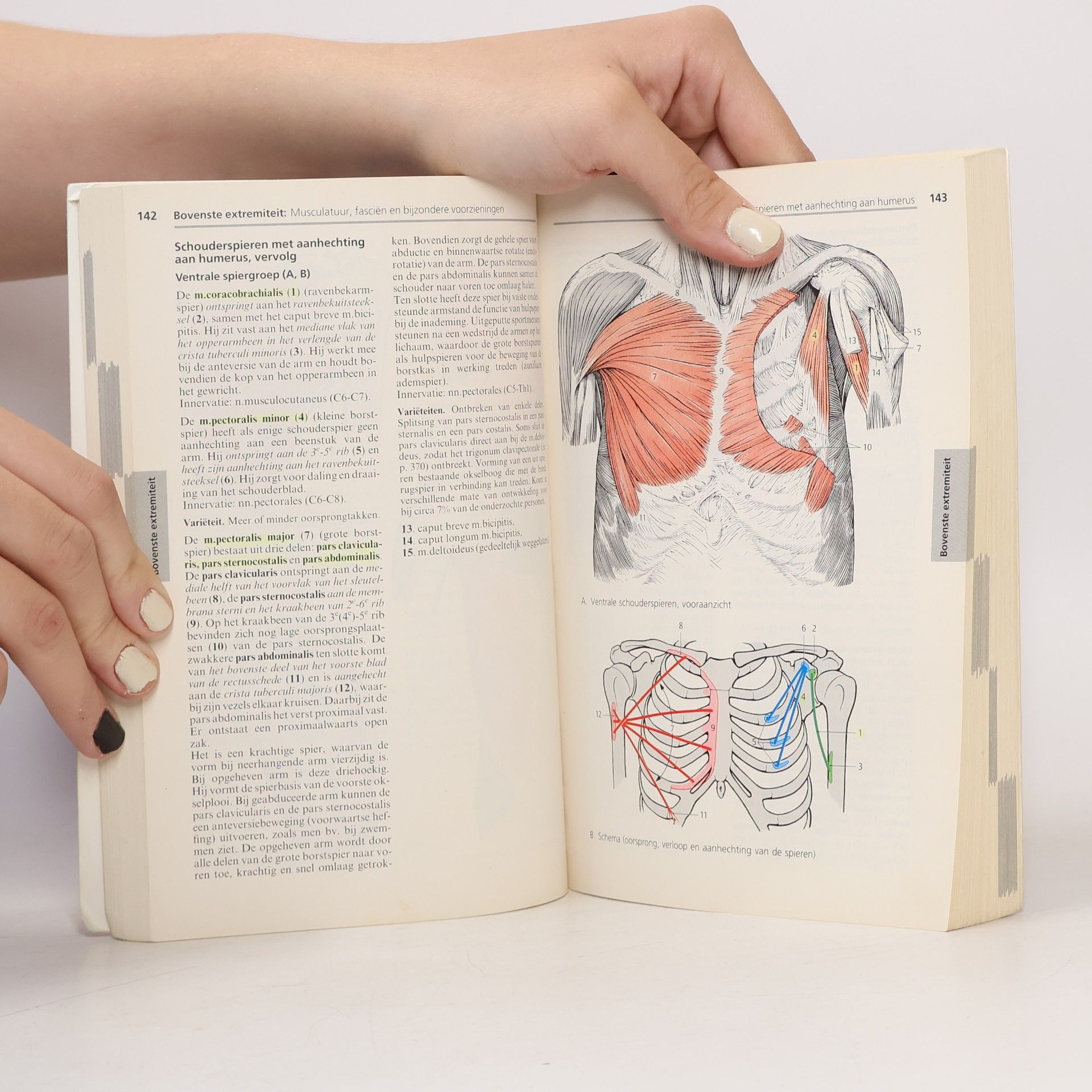 Verner Platcer Sesam atlas van de anatomie