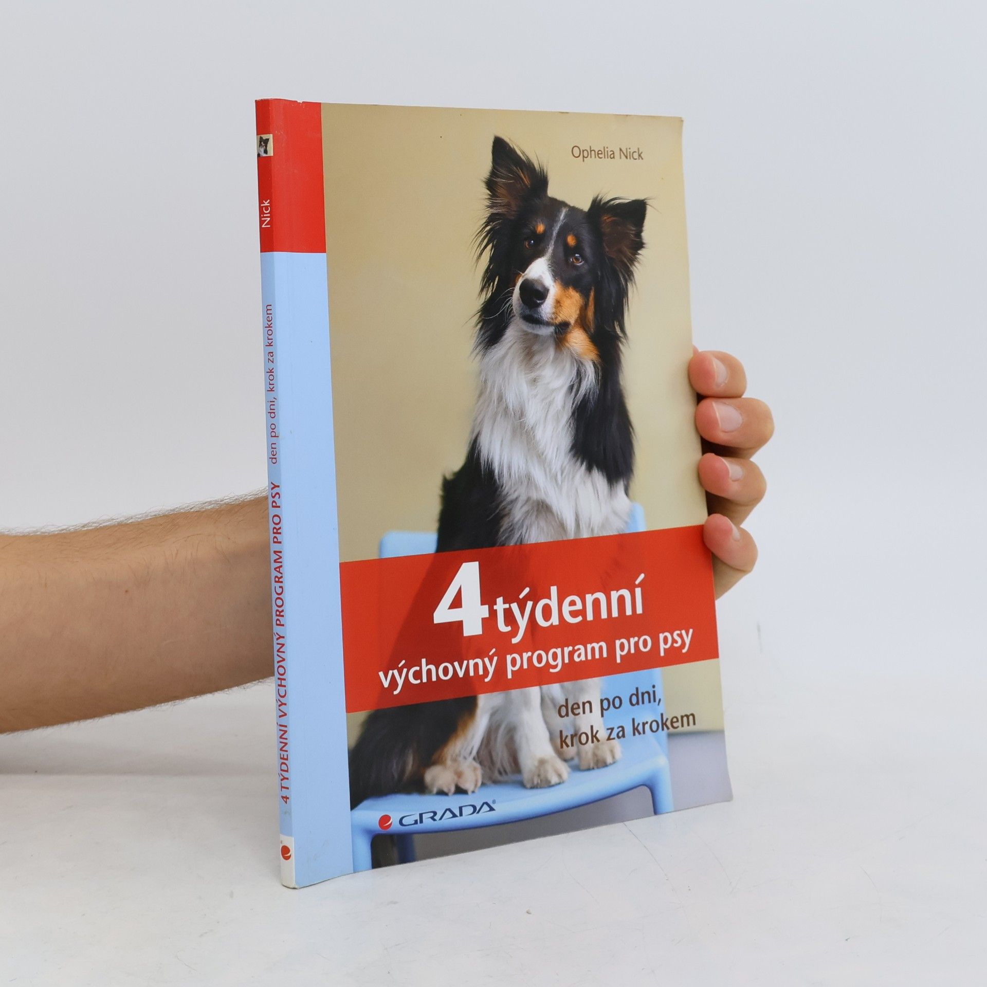 4týdenní výchovný program pro psy