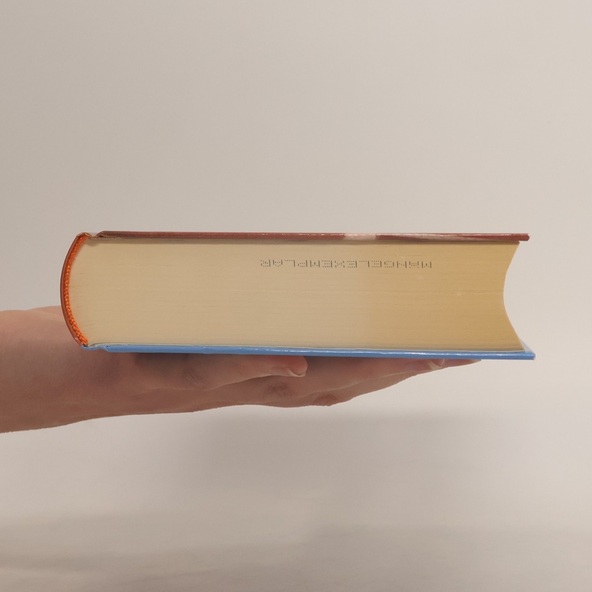 Reto U. Schneider Das große Buch der verrückten Experimente
