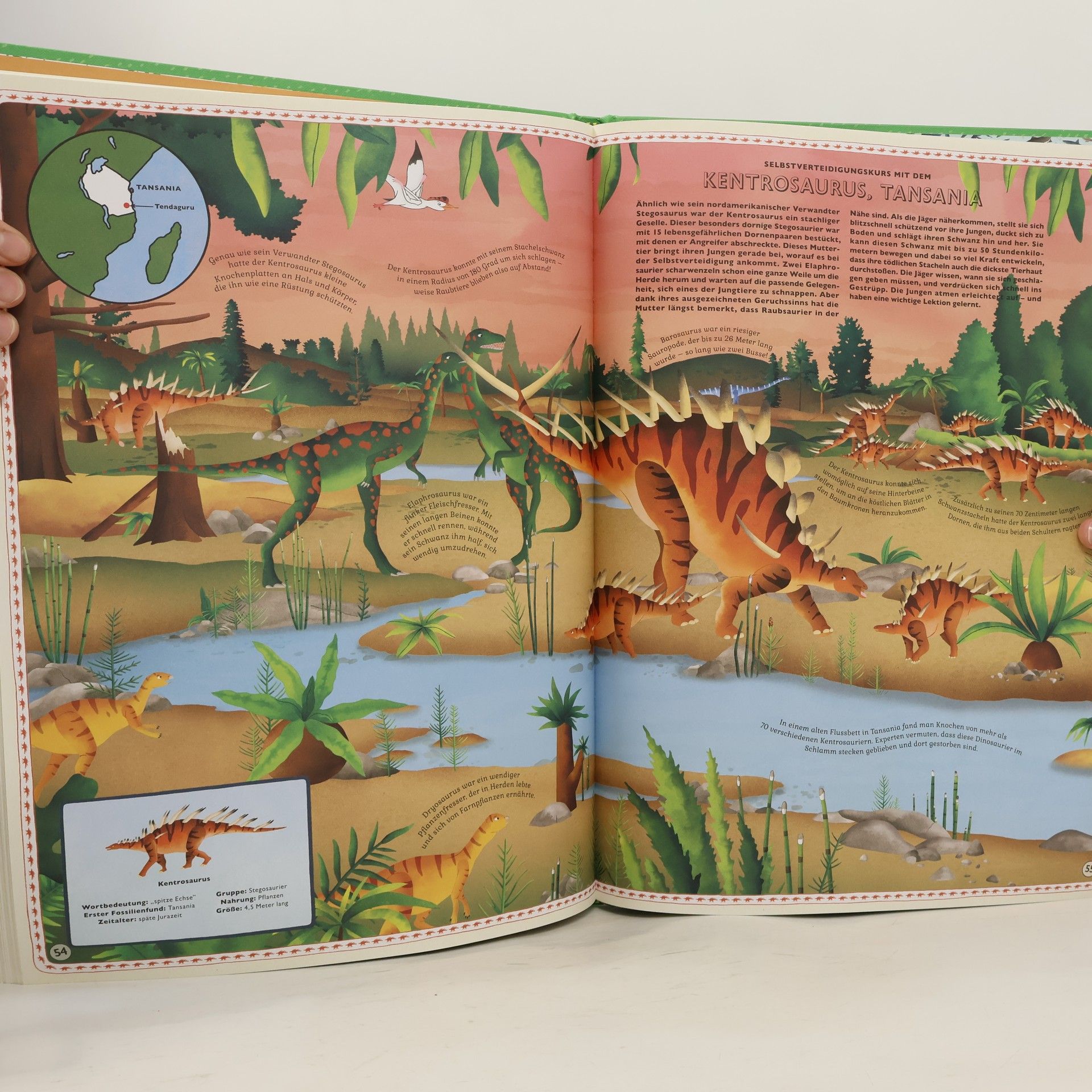 Lucy Letherland Der Atlas der Dinosaurier