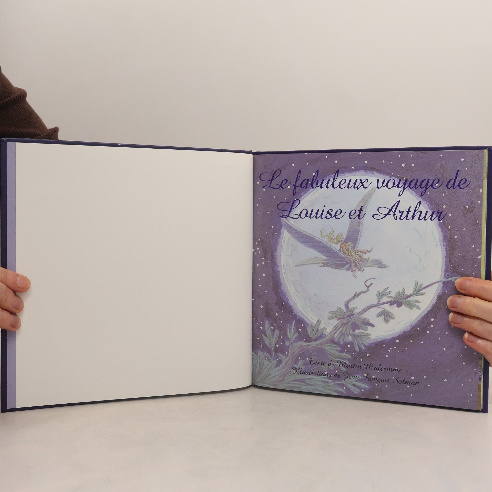 Martin Malermme Le fabuleux voyage de Louise et Arthur