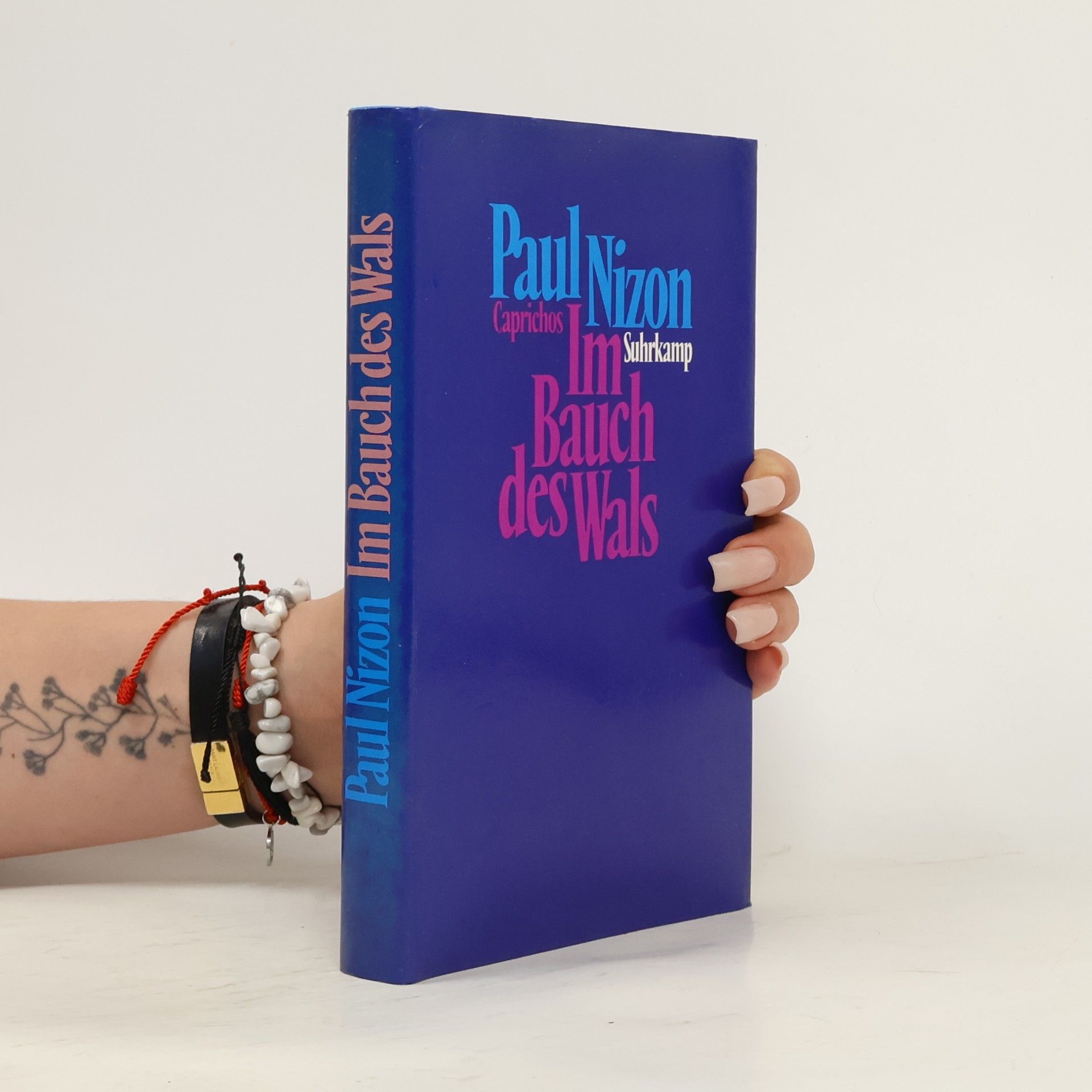 Paul Nizon Im Bauch des Wals