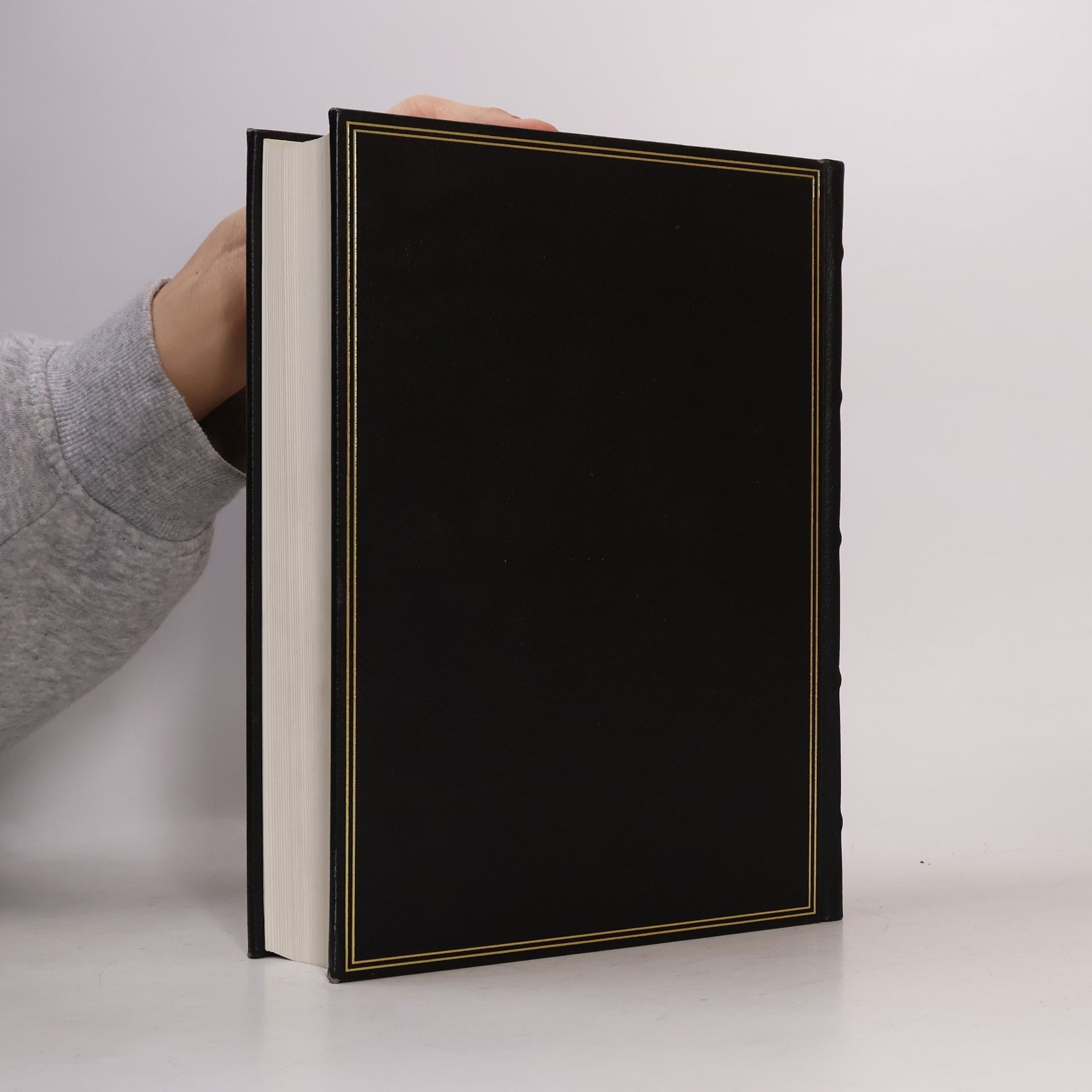 kolektiv Brockhaus Enzyklopädie 11 (IT-KIP)