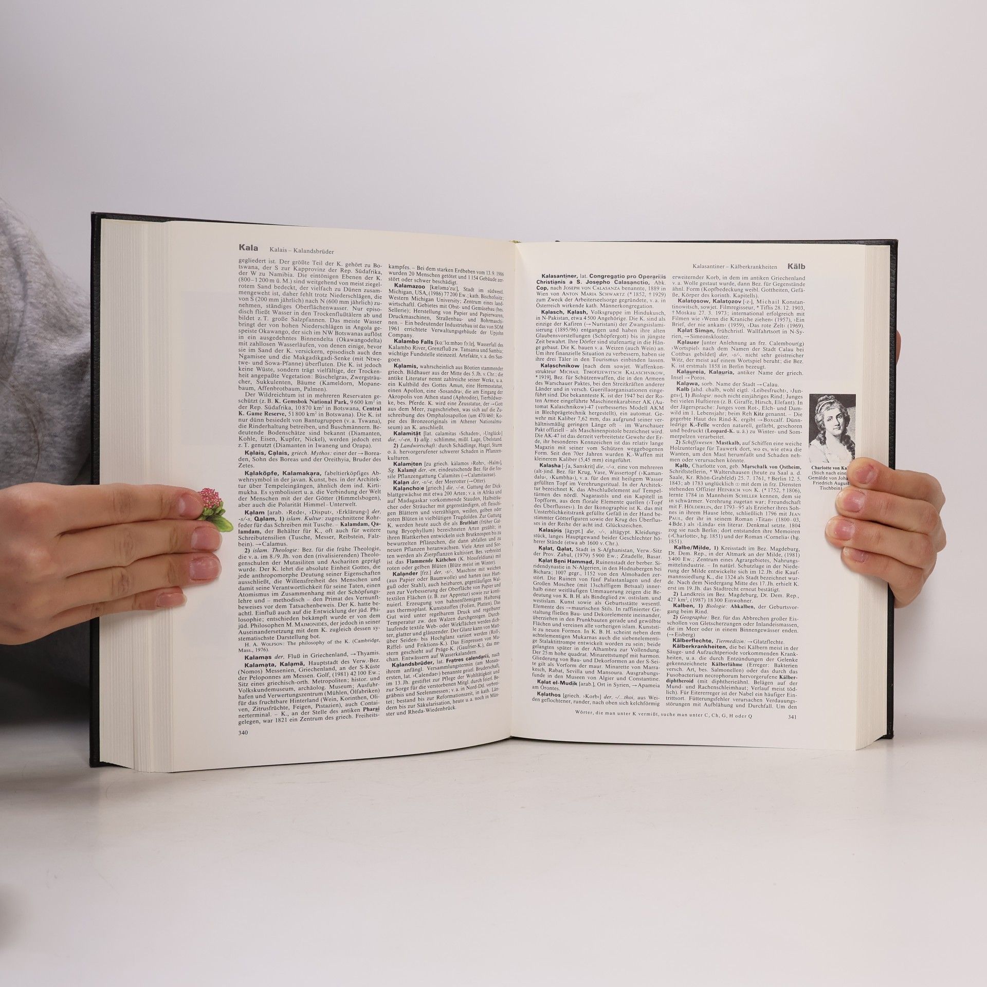 kolektiv Brockhaus Enzyklopädie 11 (IT-KIP)