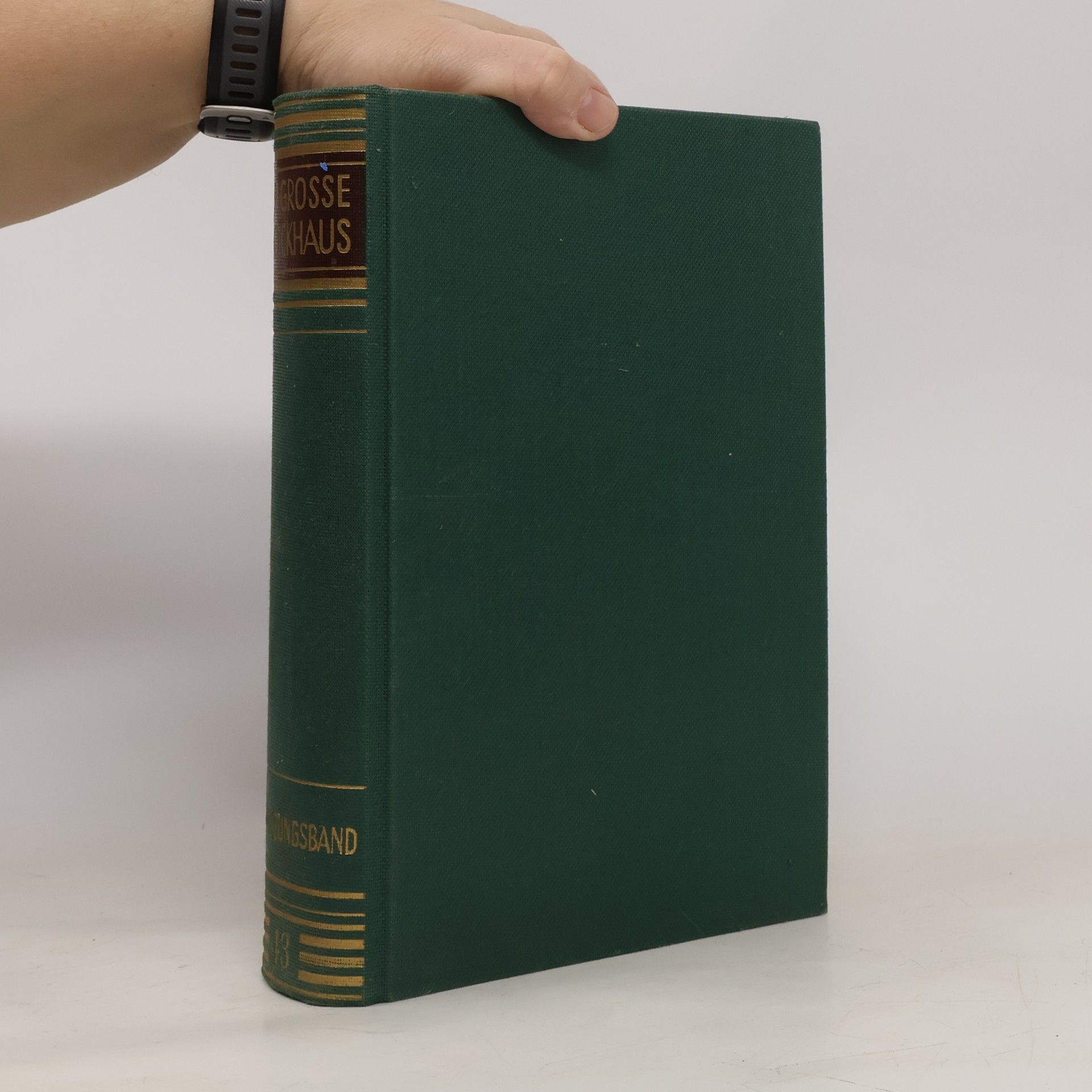 Various authors Der Grosse Brockhaus 13