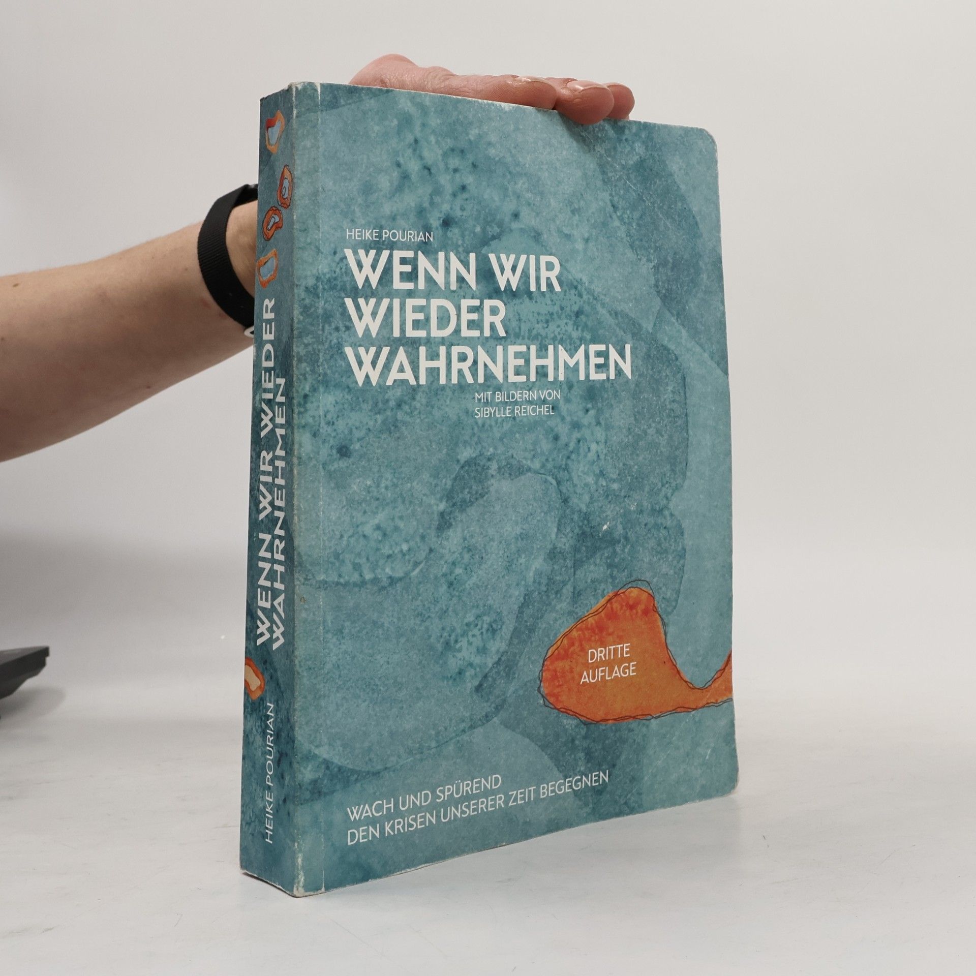 Heike Pourian Wenn wir wieder wahrnehmen
