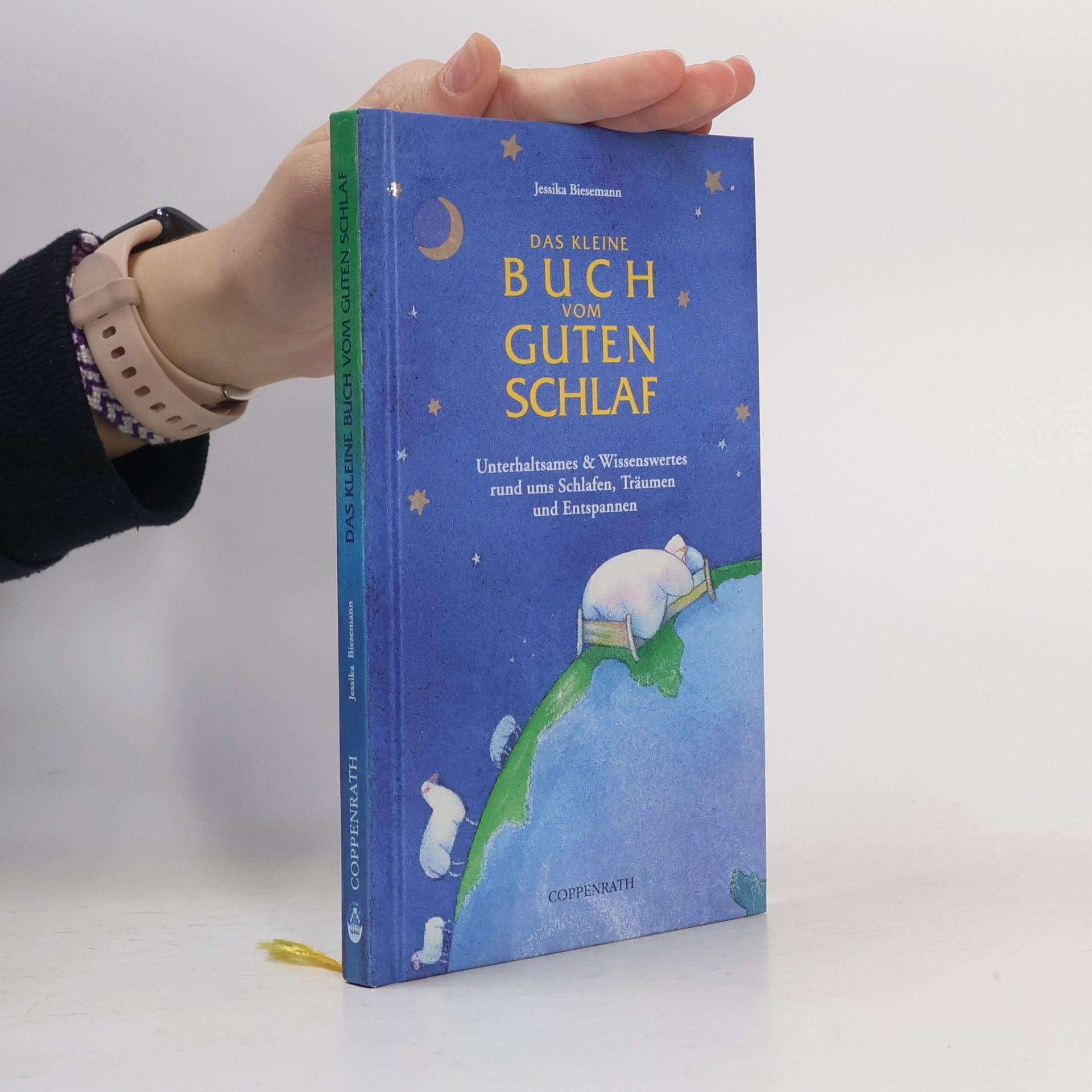 Jessika Biesemann Das kleine Buch vom guten Schlaf