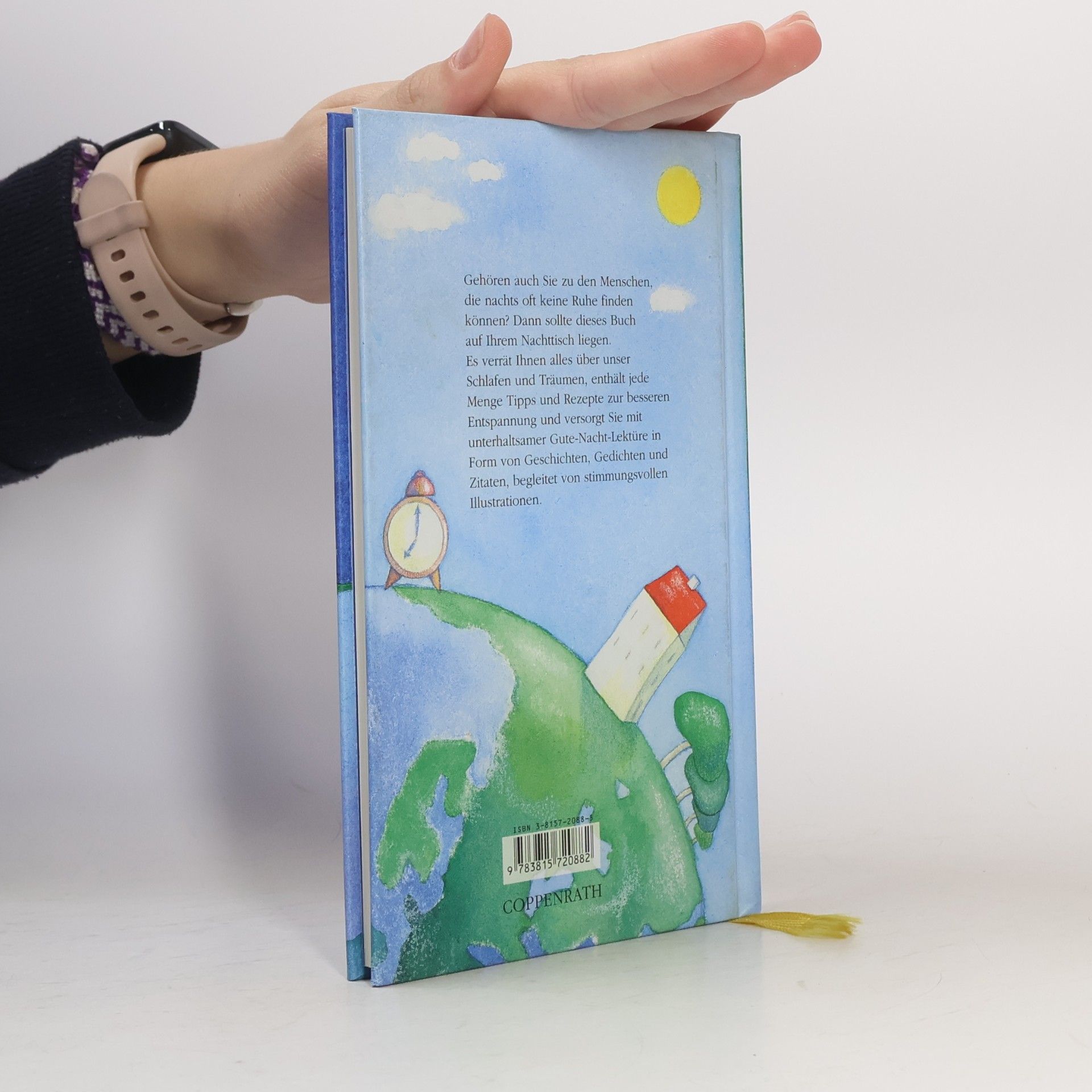 Jessika Biesemann Das kleine Buch vom guten Schlaf
