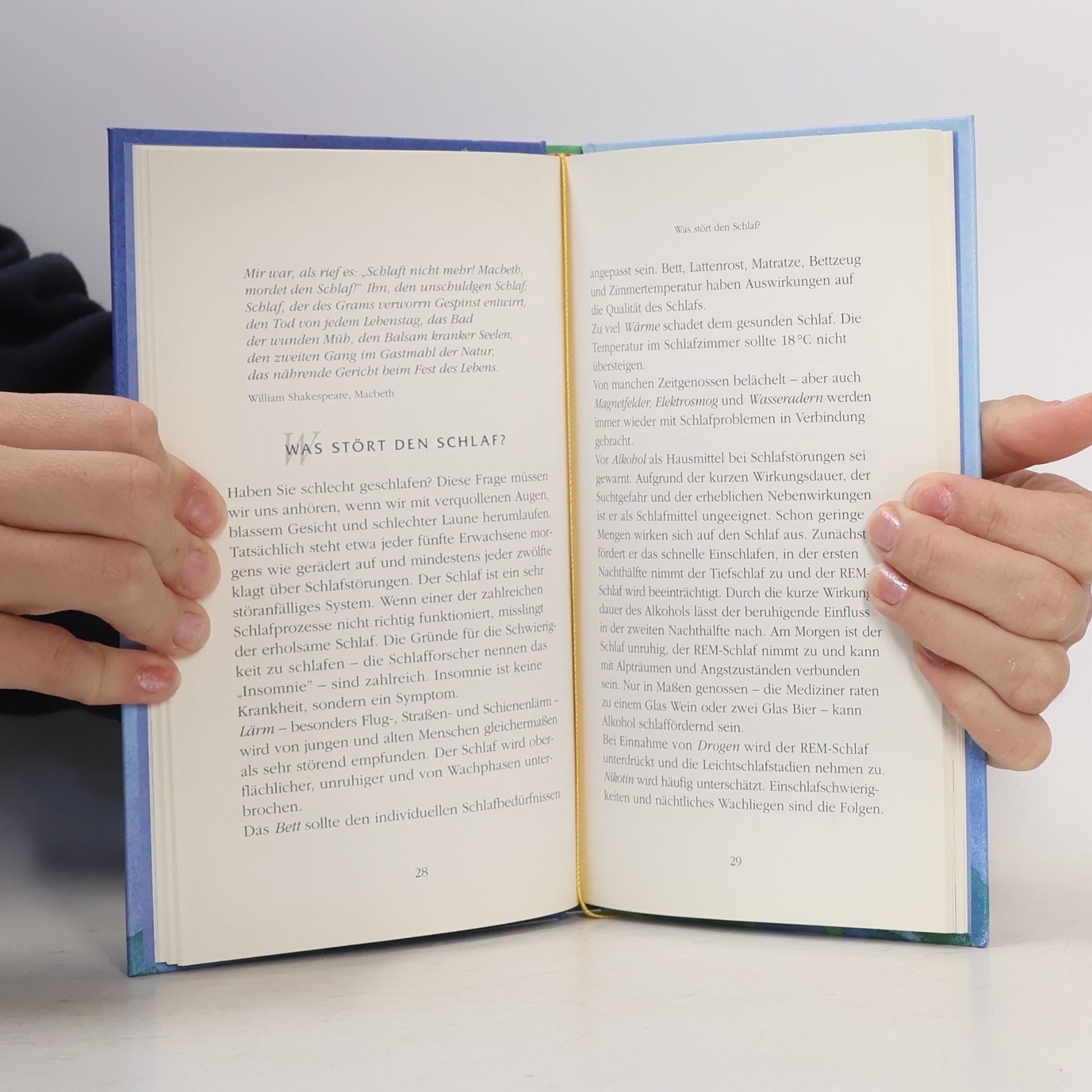 Jessika Biesemann Das kleine Buch vom guten Schlaf