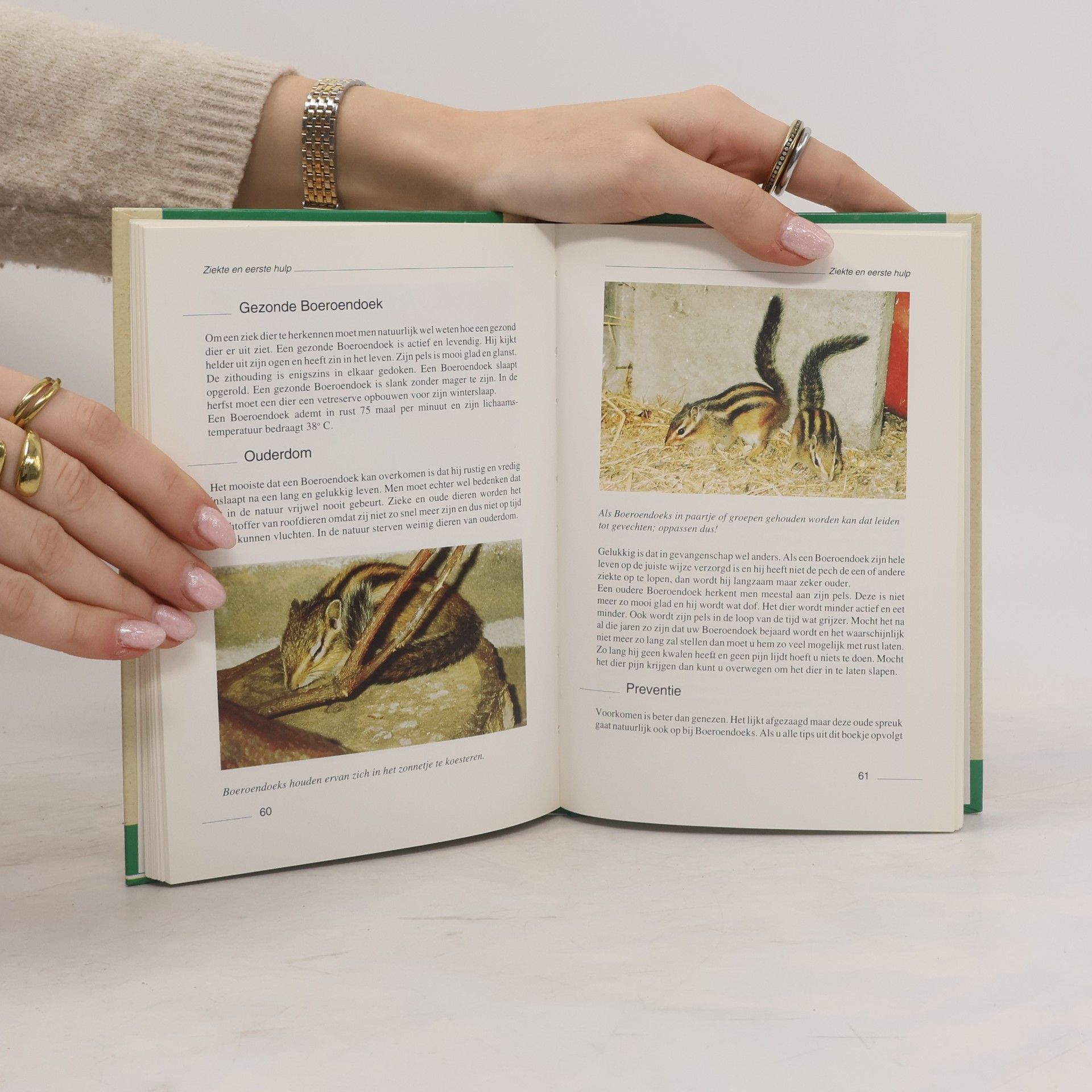 Boeroendoek of Aziatische grondeekhoorn als gezelschapsdier