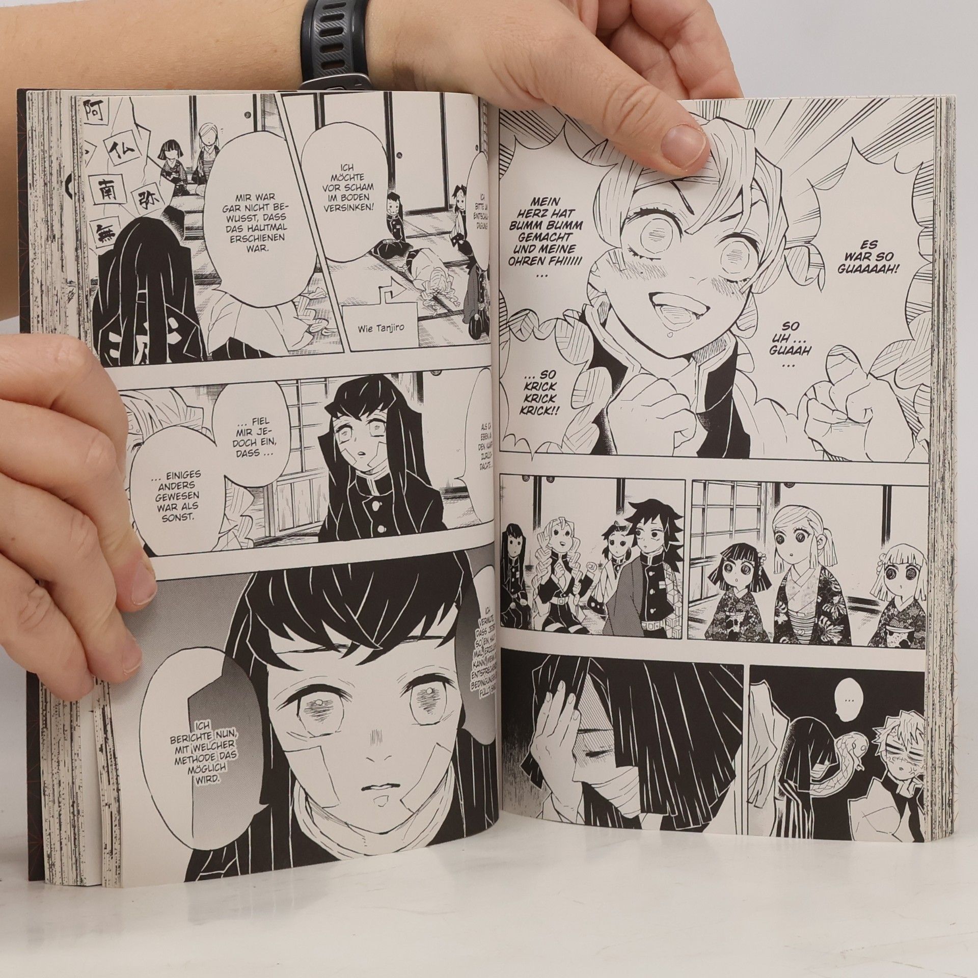 Koyoharu Gotoge Demon Slayer 15