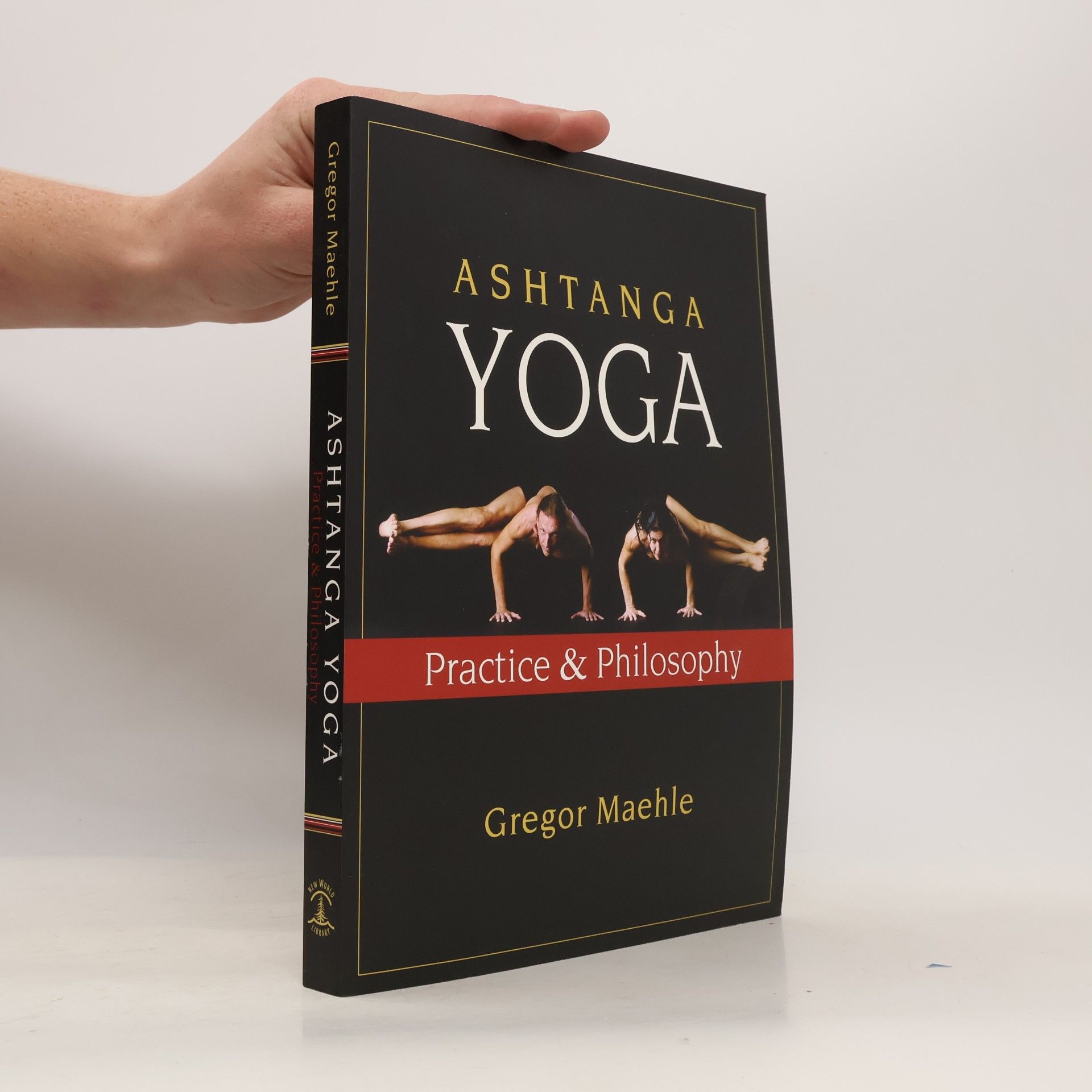 Gregor Maehle Ashtanga Yoga