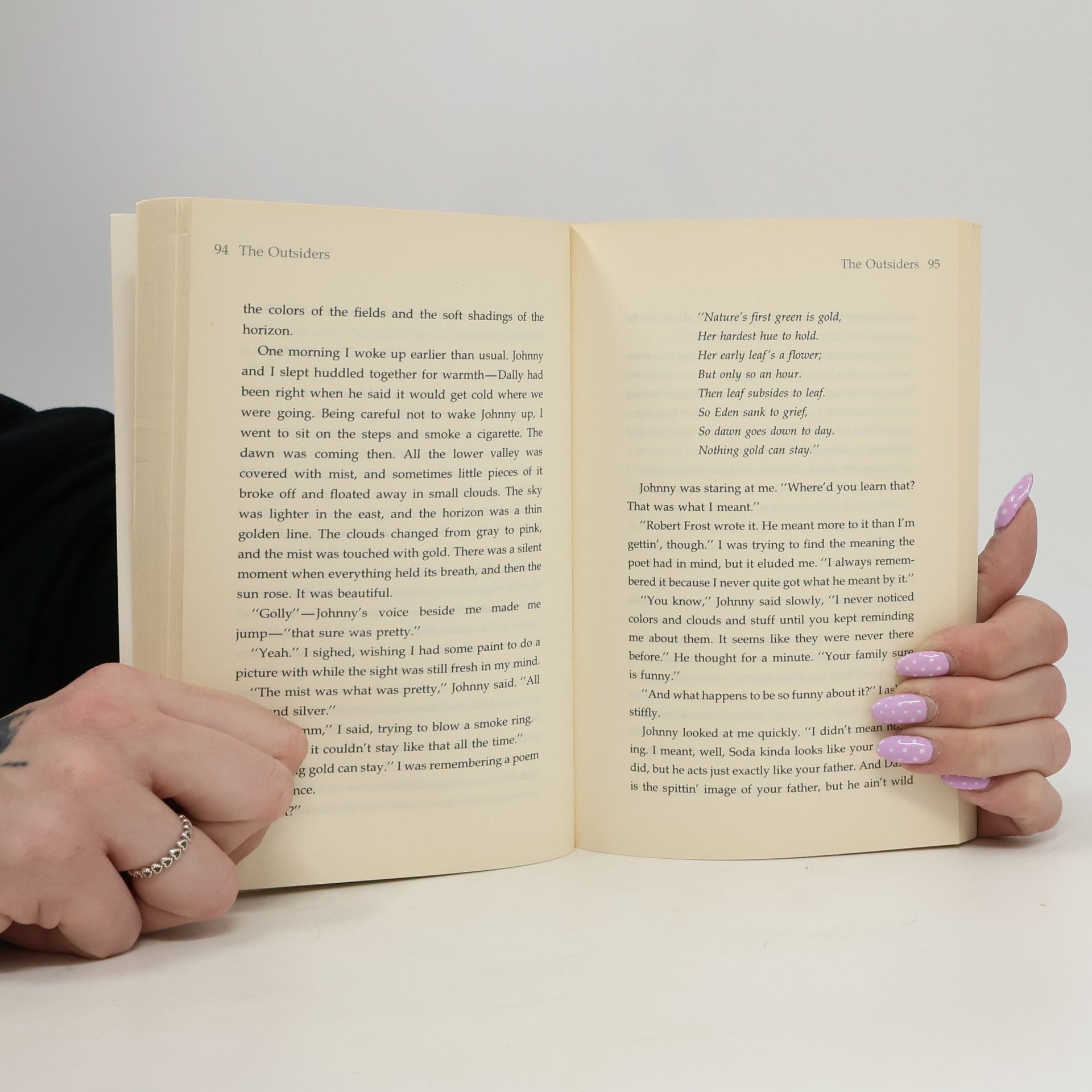 S. E. Hinton Outsideři