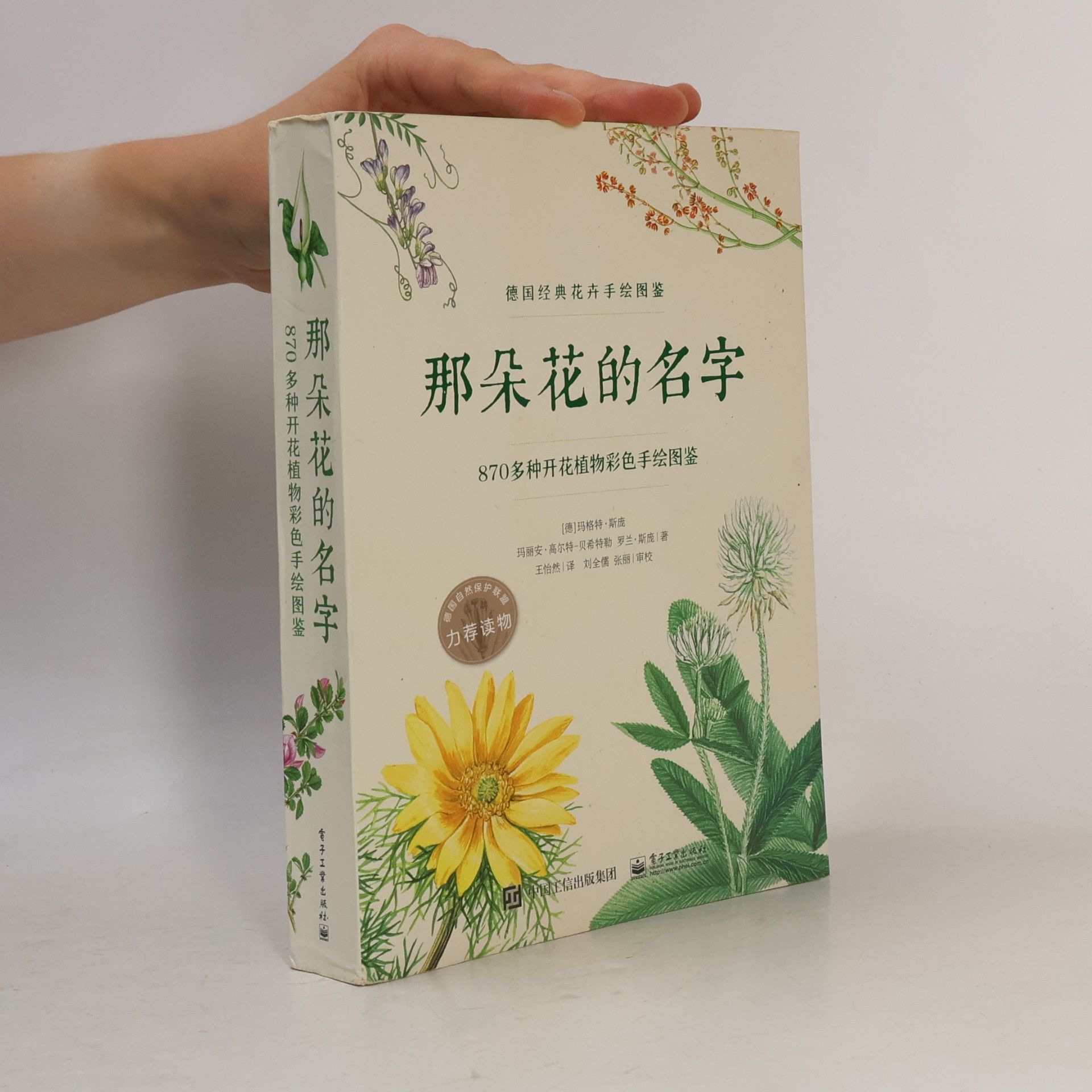 斯庞 那朵花的名字