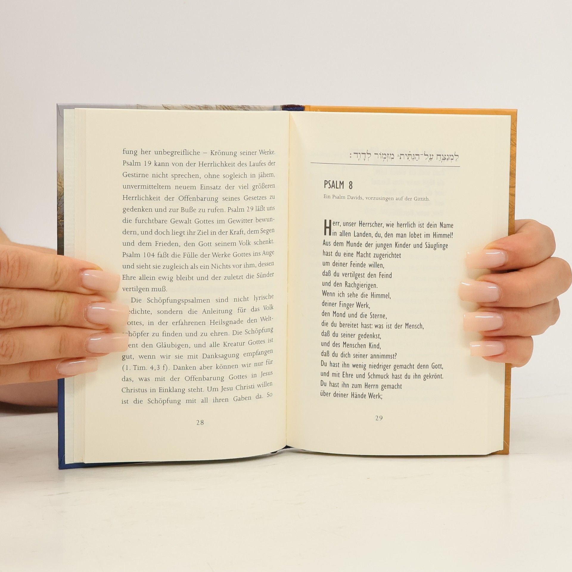 Dietrich Bonhoeffer Die Psalmen - das Gebetbuch der Bibel