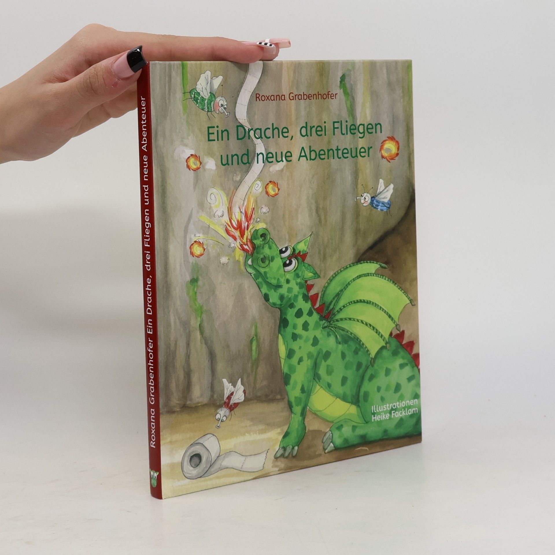 Heike Facklam Ein Drache, drei Fliegen und neue Abenteuer