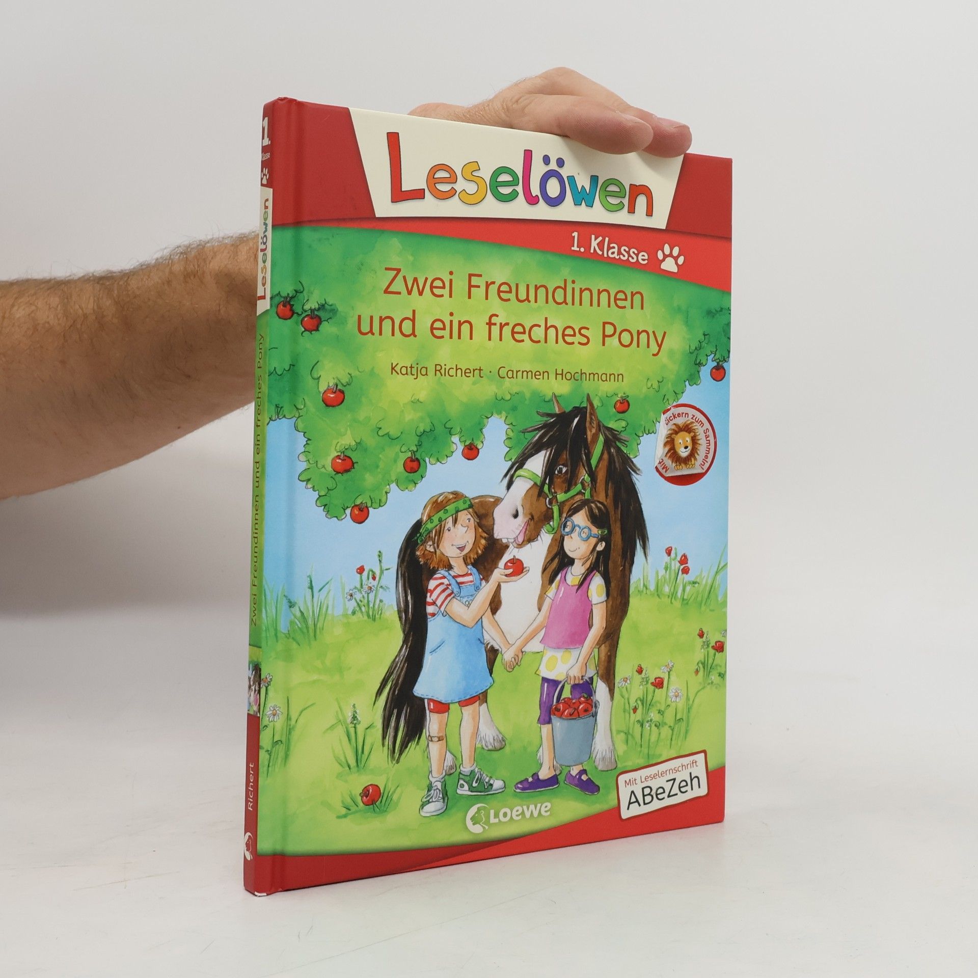 Zwei Freundinnen und ein freches Pony