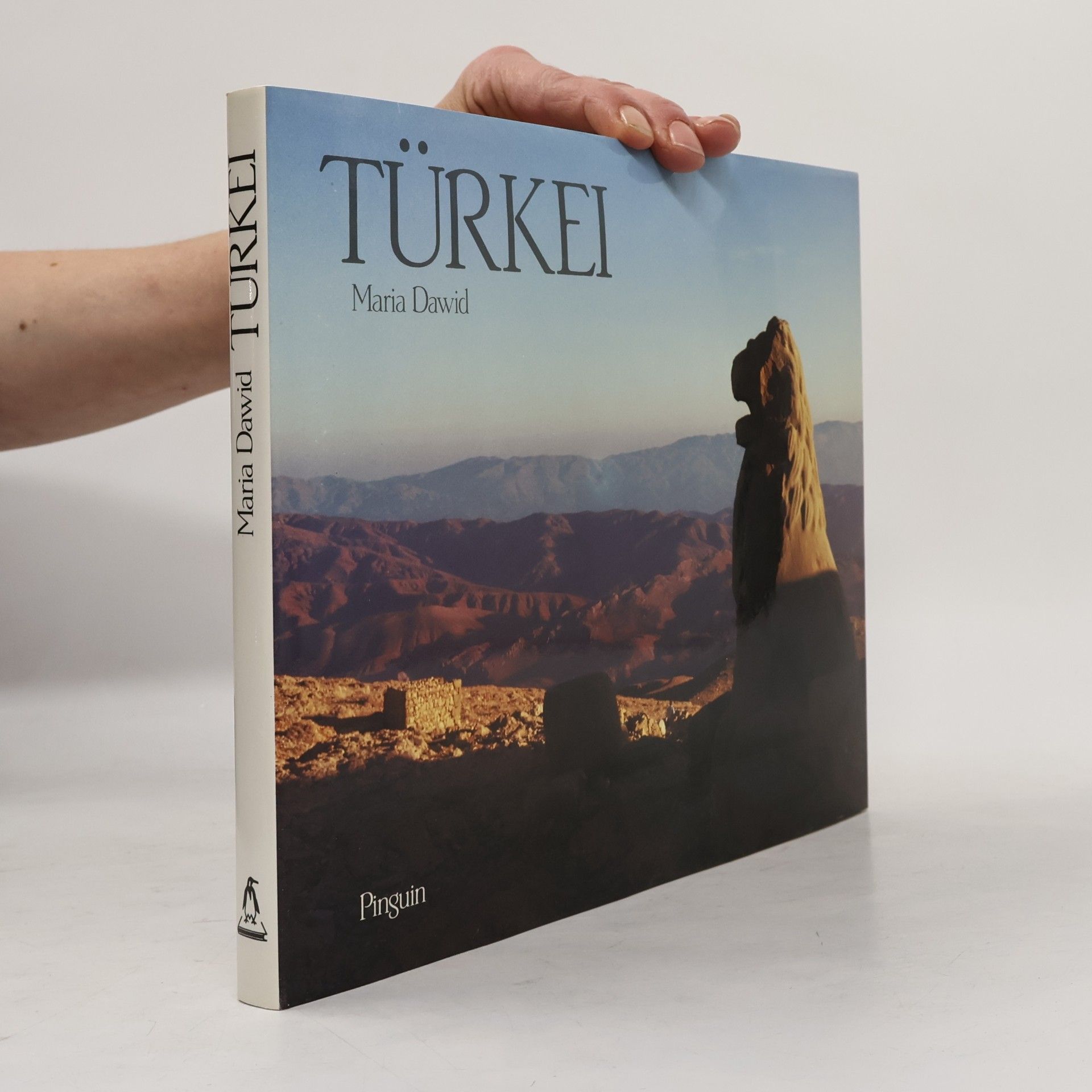 Maria Dawid Türkei