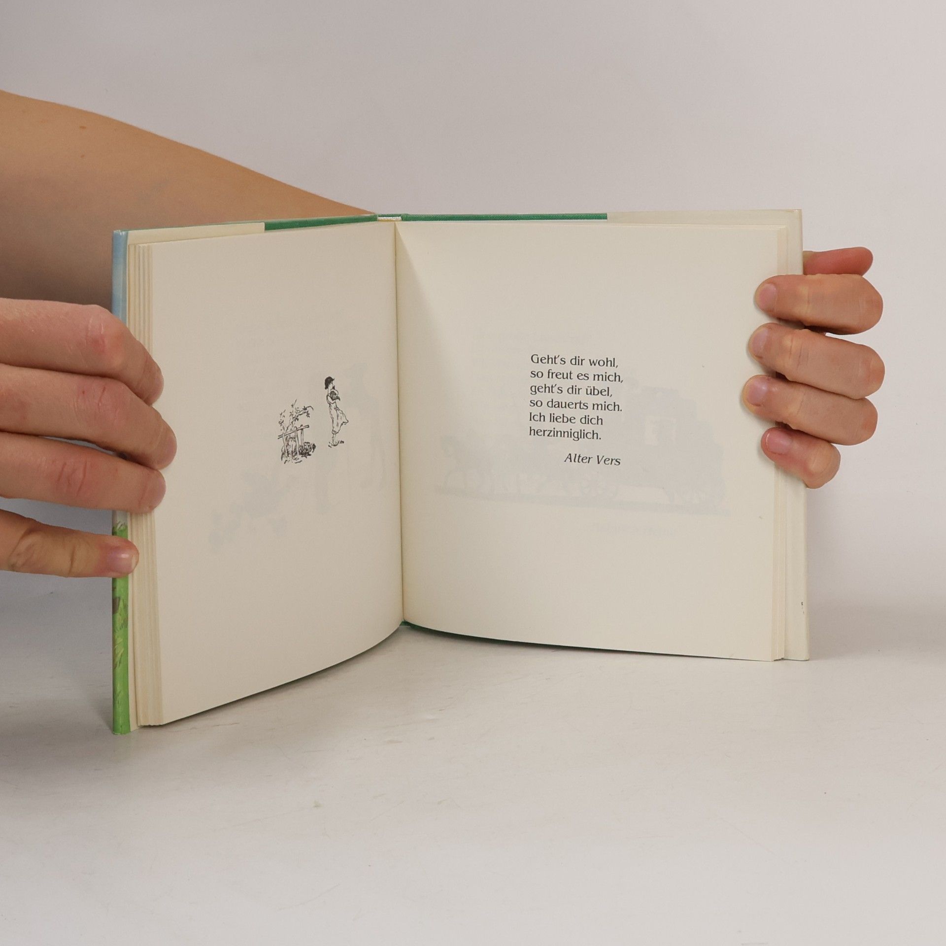 Johanna G. Schneider Poesie-Album