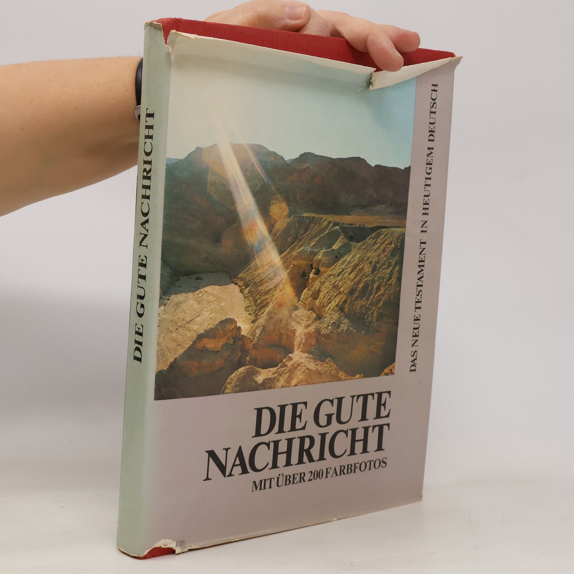 Autorenkollektiv Die gute Nachricht