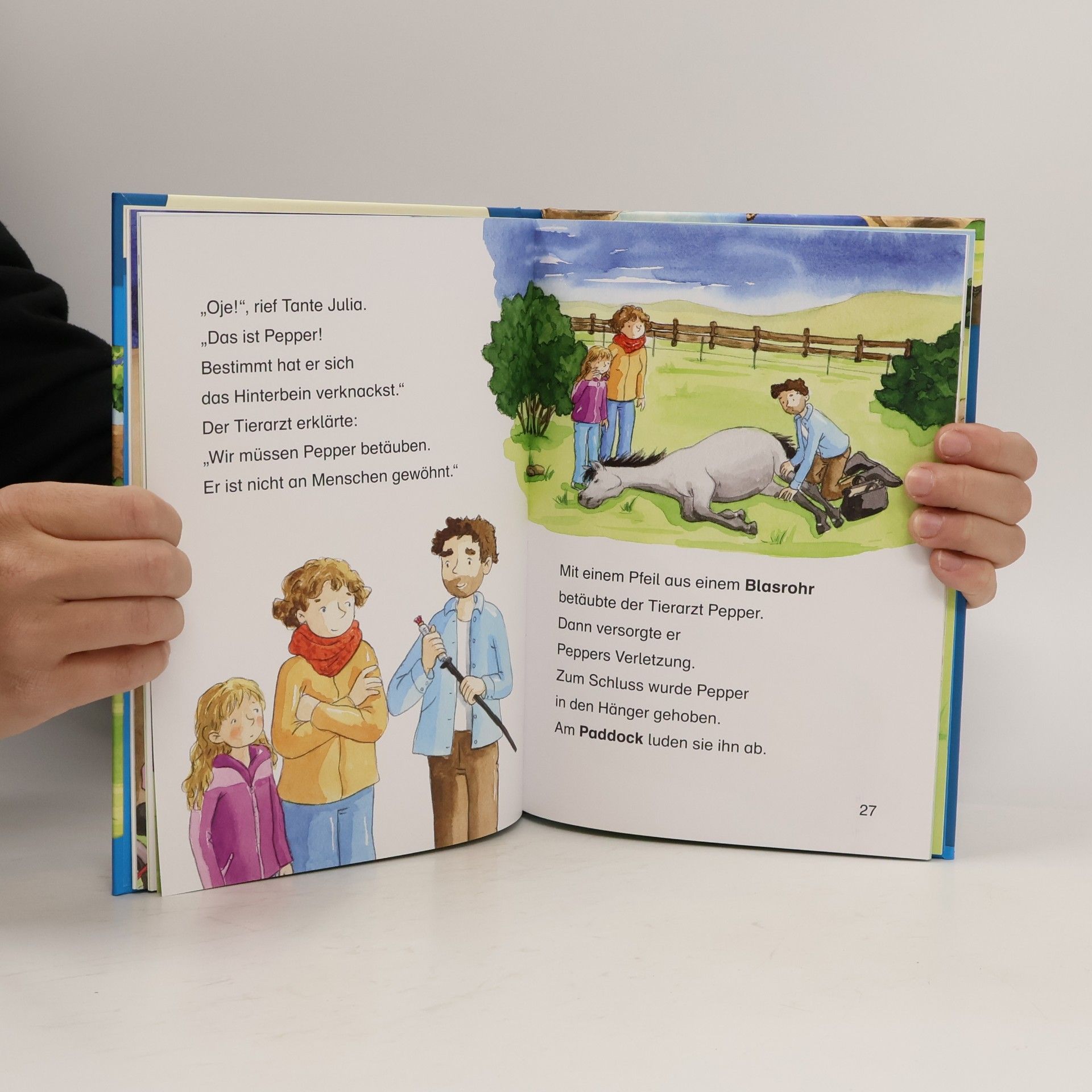 Carmen Hochmann Leselöwen 2. Klasse. Das verletzte Wildpferd