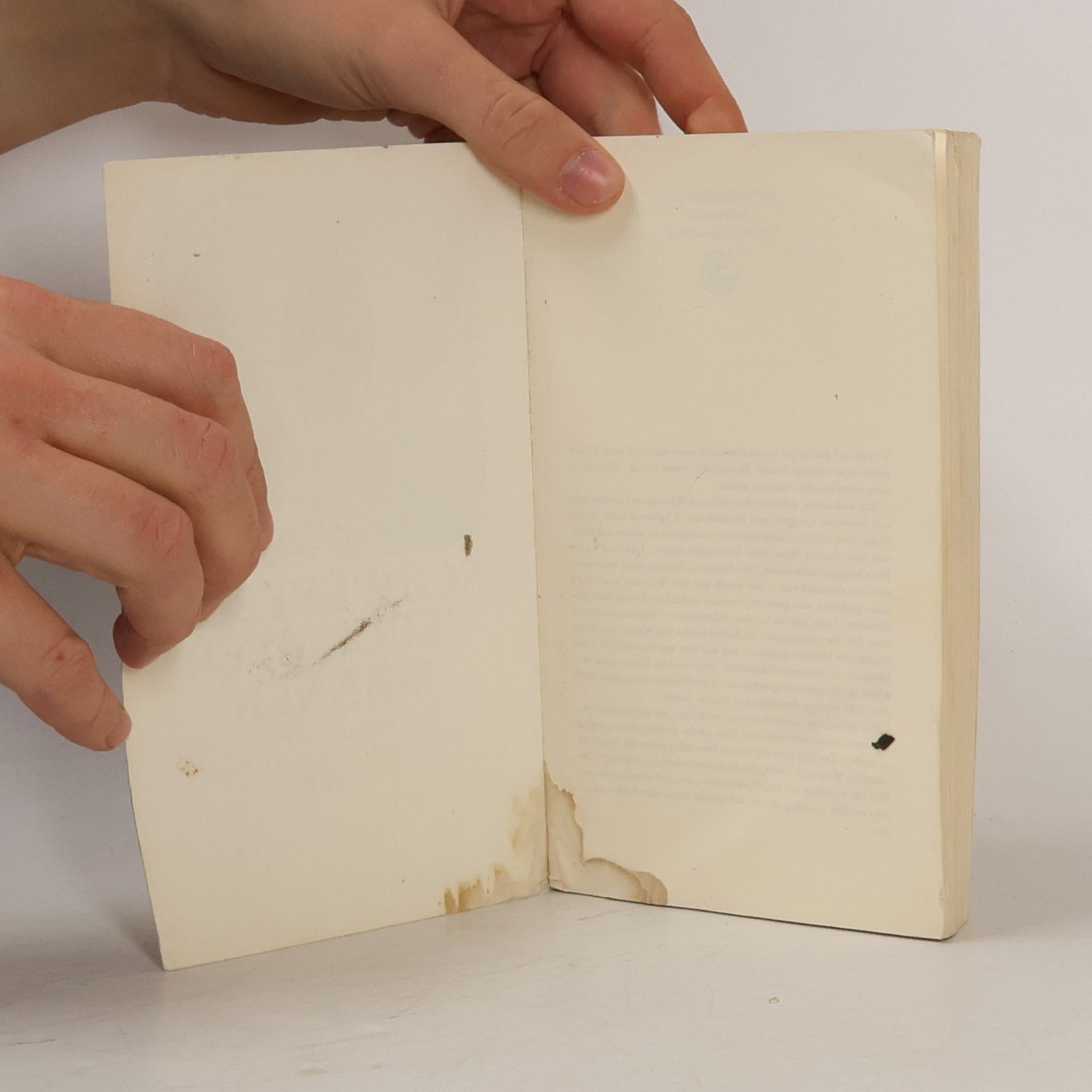 Luise F. Pusch Schwestern berühmter Männer : zwölf biographische Portraits
