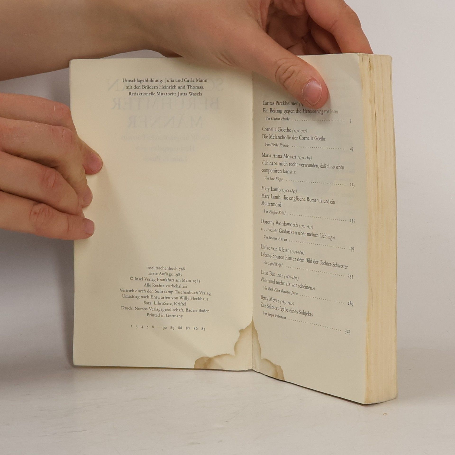 Luise F. Pusch Schwestern berühmter Männer : zwölf biographische Portraits