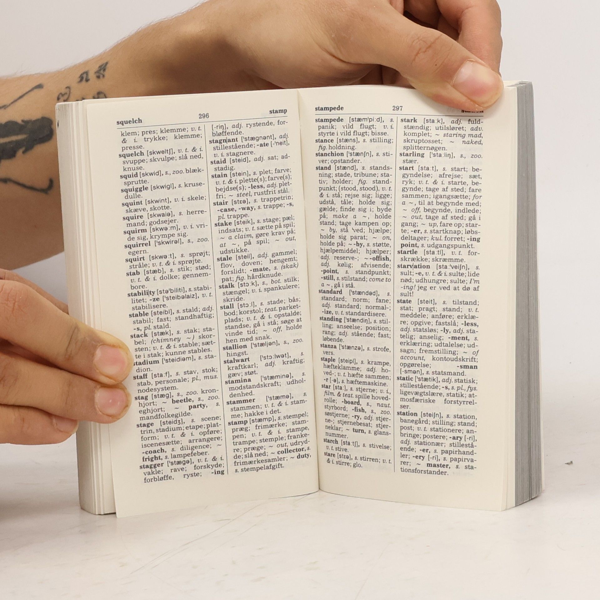 Marianne Holmen Host's English-Danish and Danish-English Pocket Dictionary