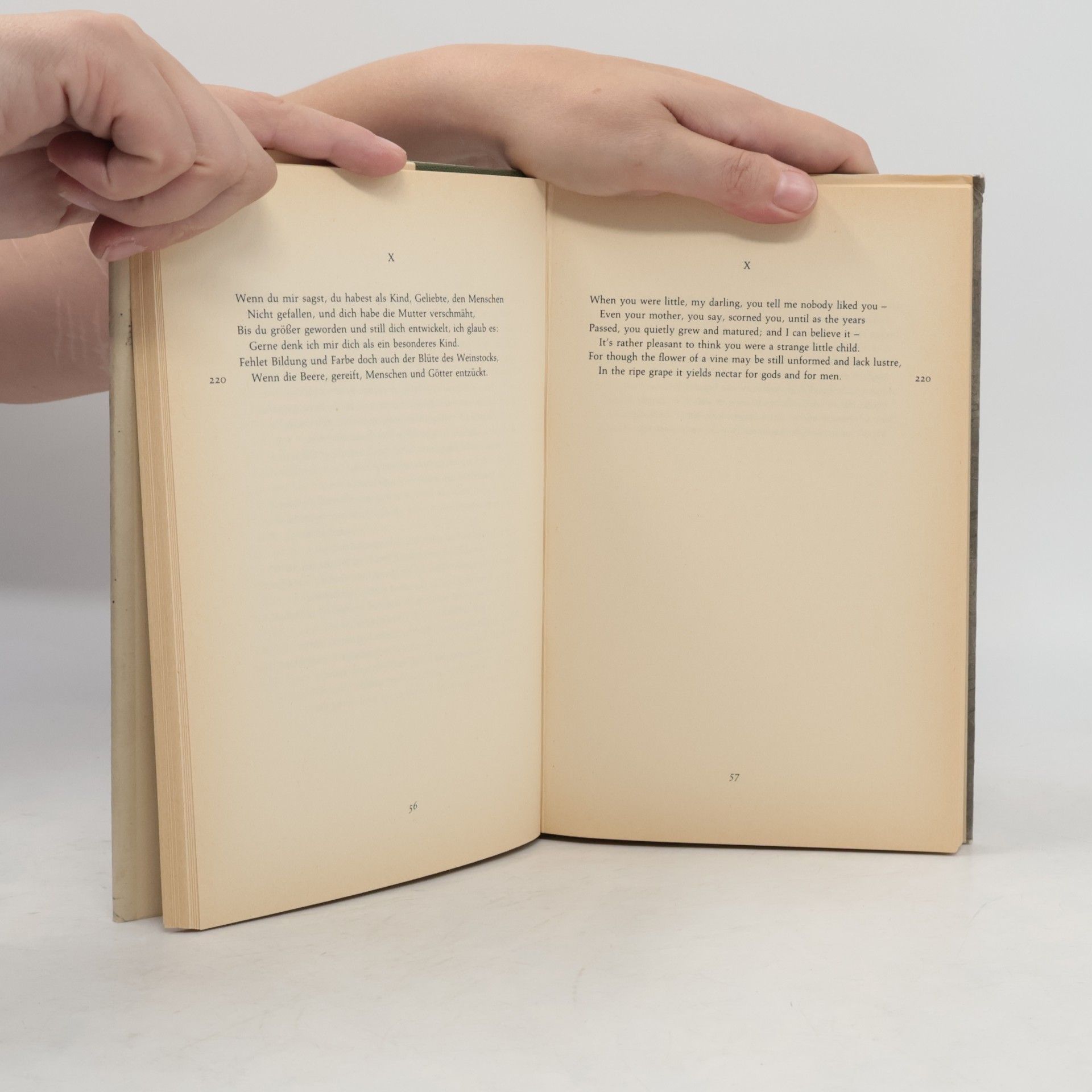 Johann Wolfgang von Goethe Roman elegies and the diary