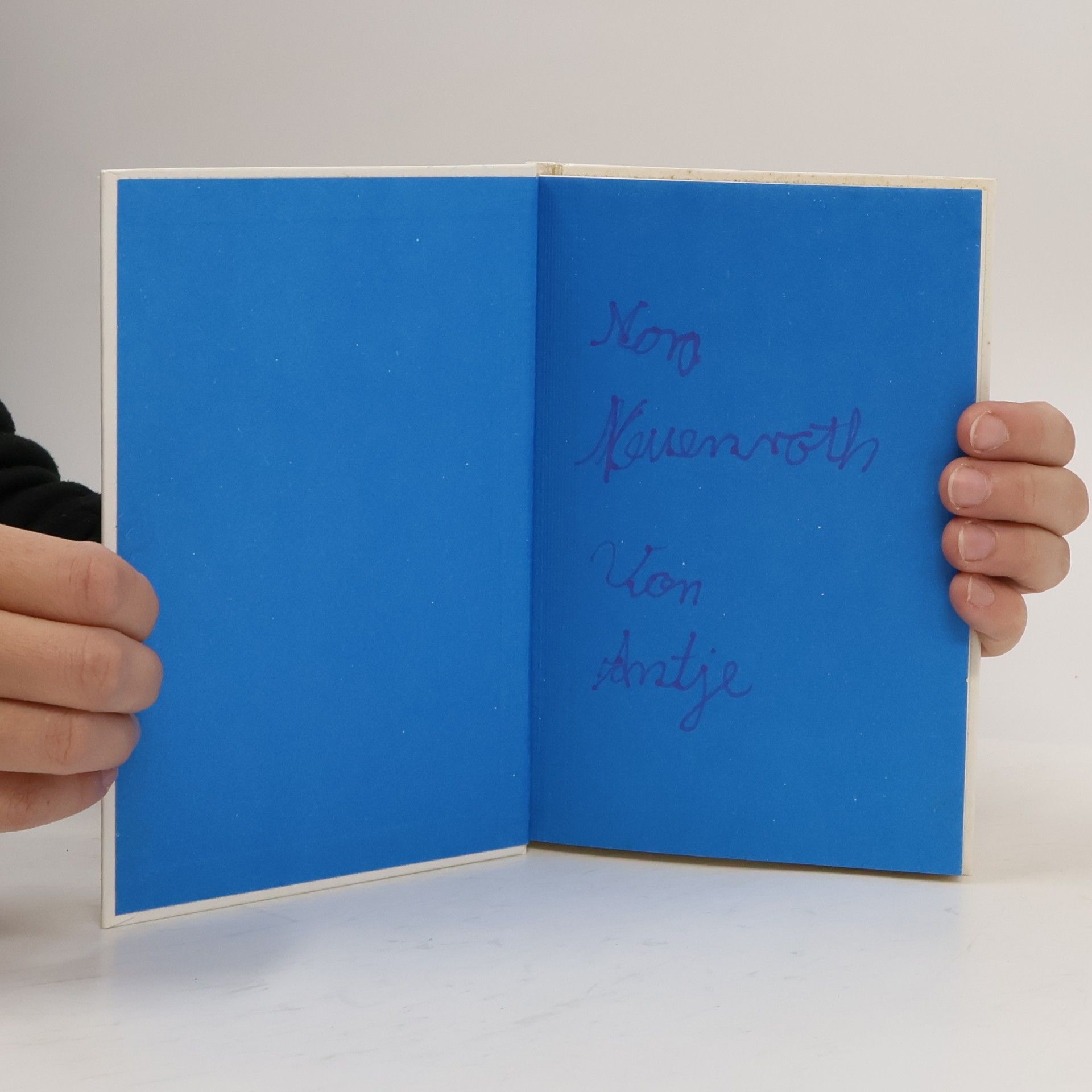 Mirjam Pressler Der blaue Pirat