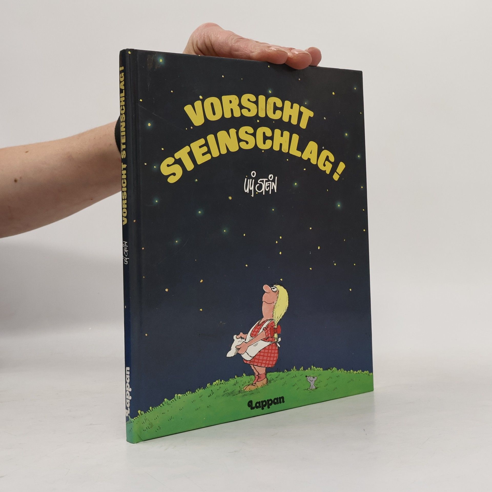 Vorsicht Steinschlag!