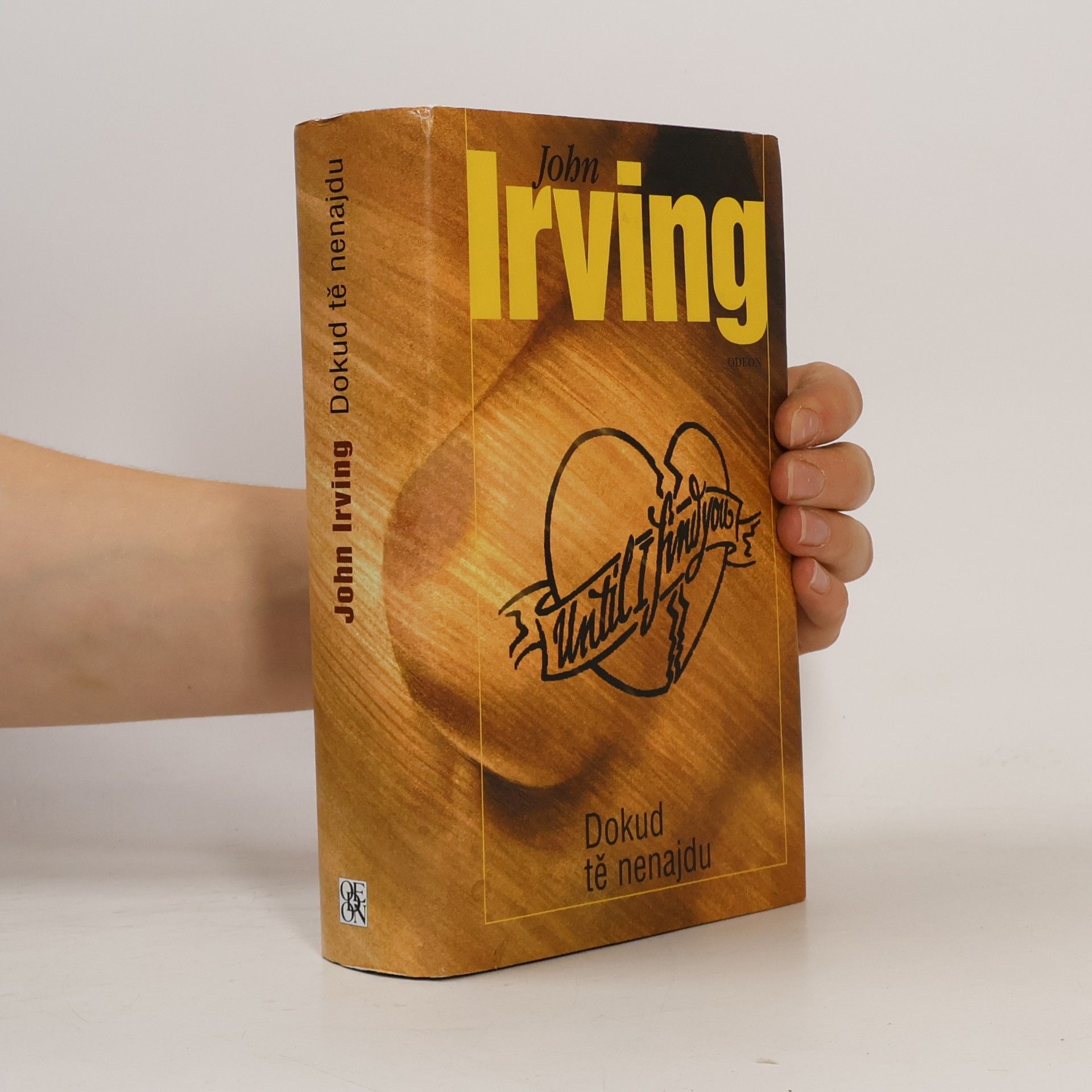 John Irving Dokud tě nenajdu