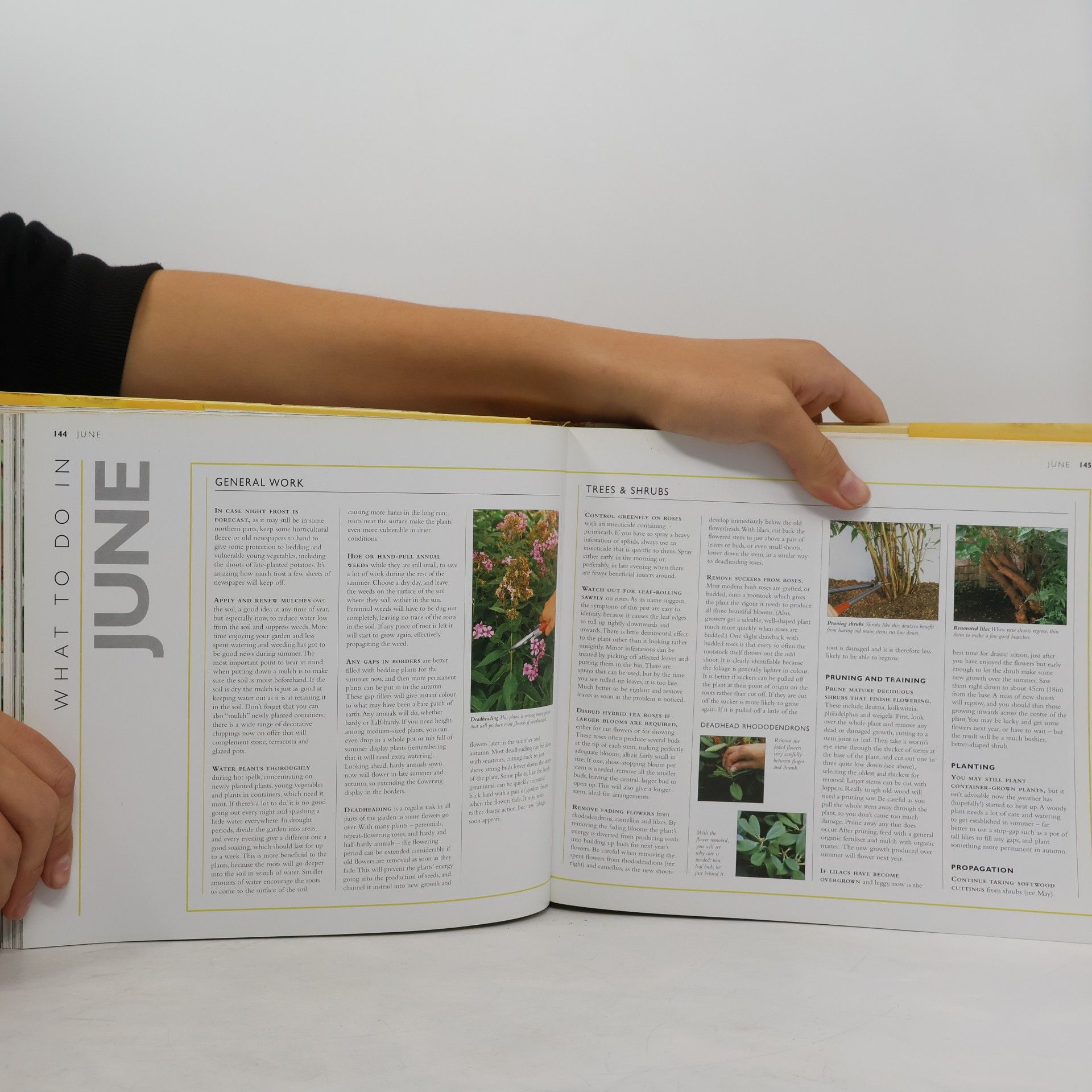 Ian Spence RHS Gardening Through the Year