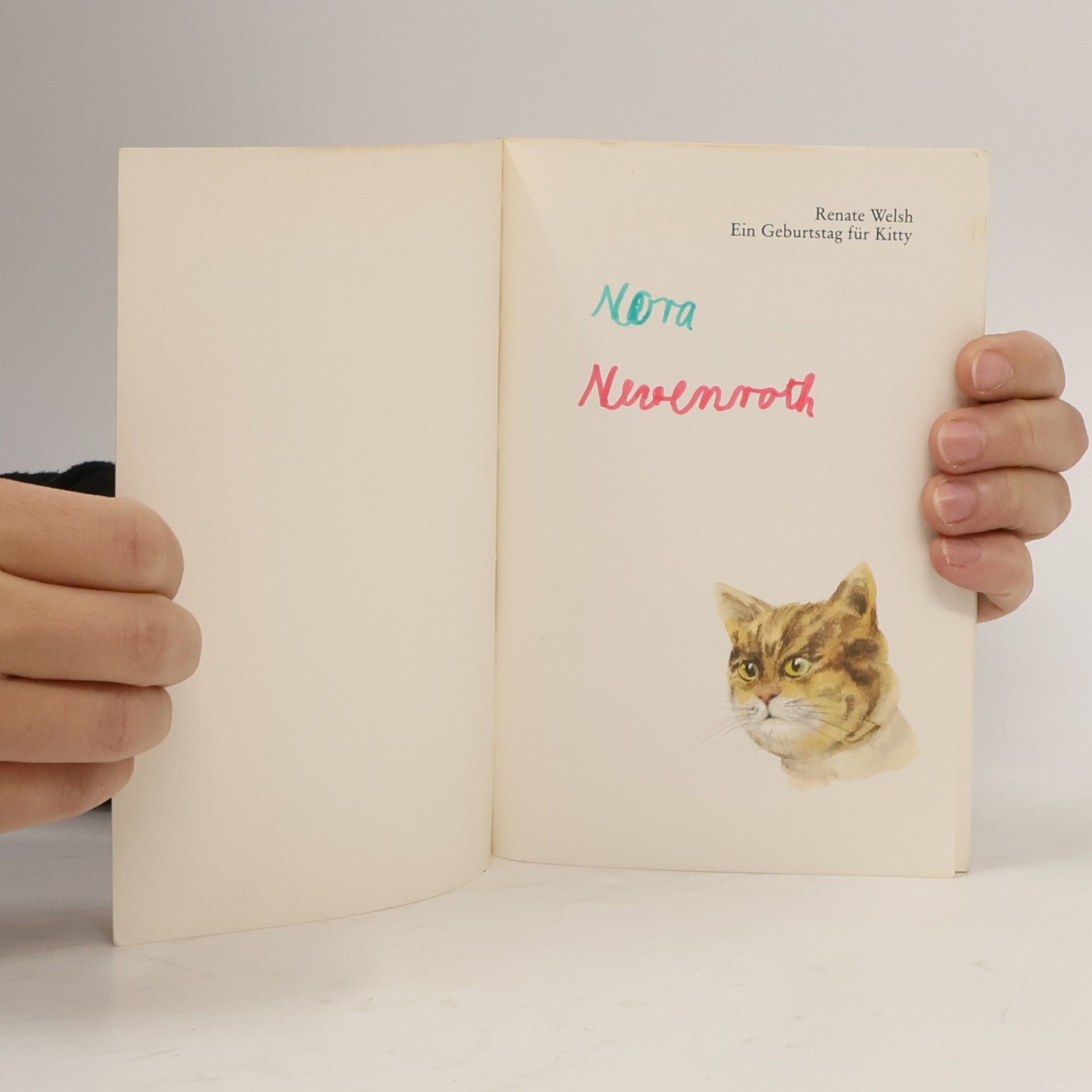 Renate Welsh Ein Geburtstag für Kitty - Grosse Druckschrift
