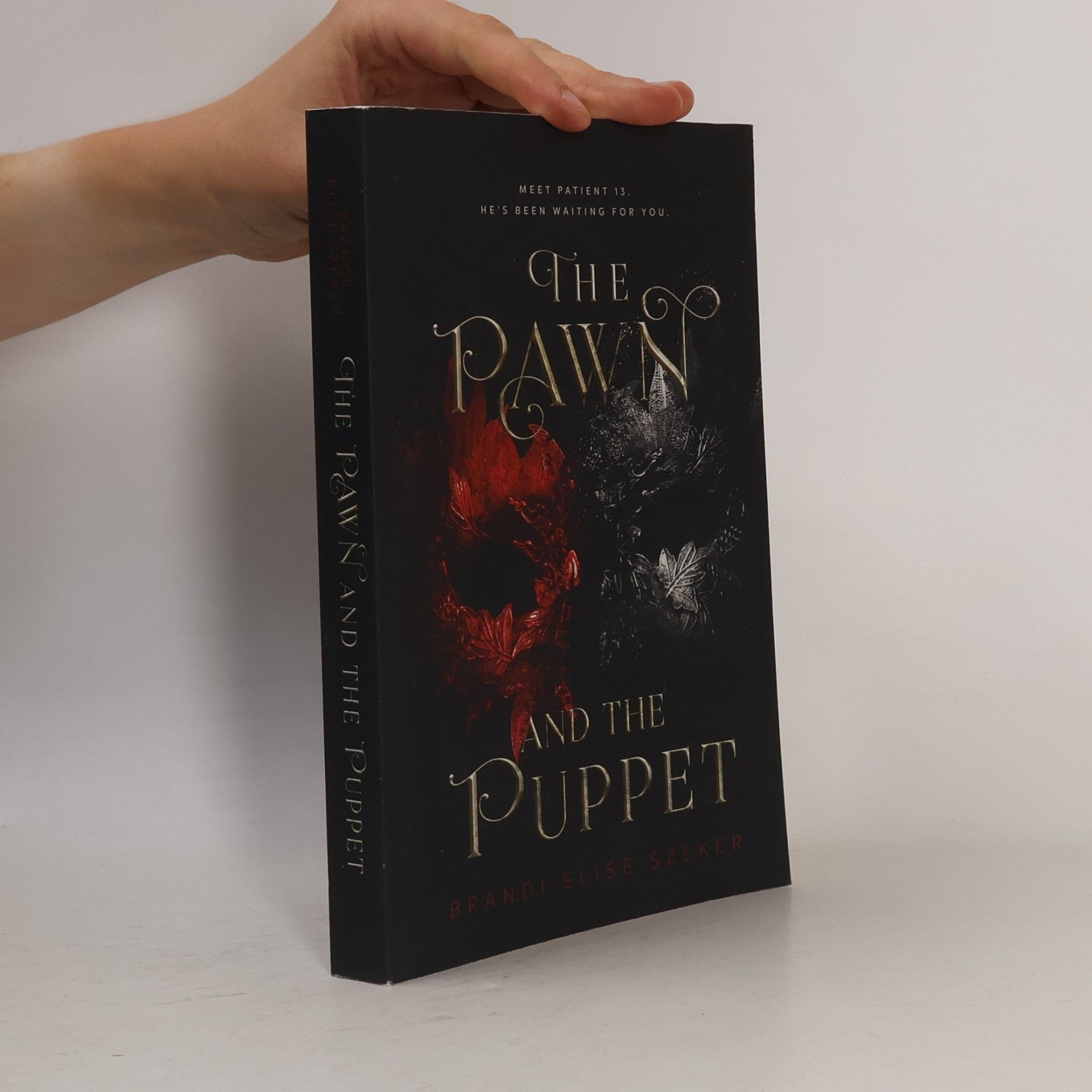 Brandi Elise Szeker The Pawn and The Puppet