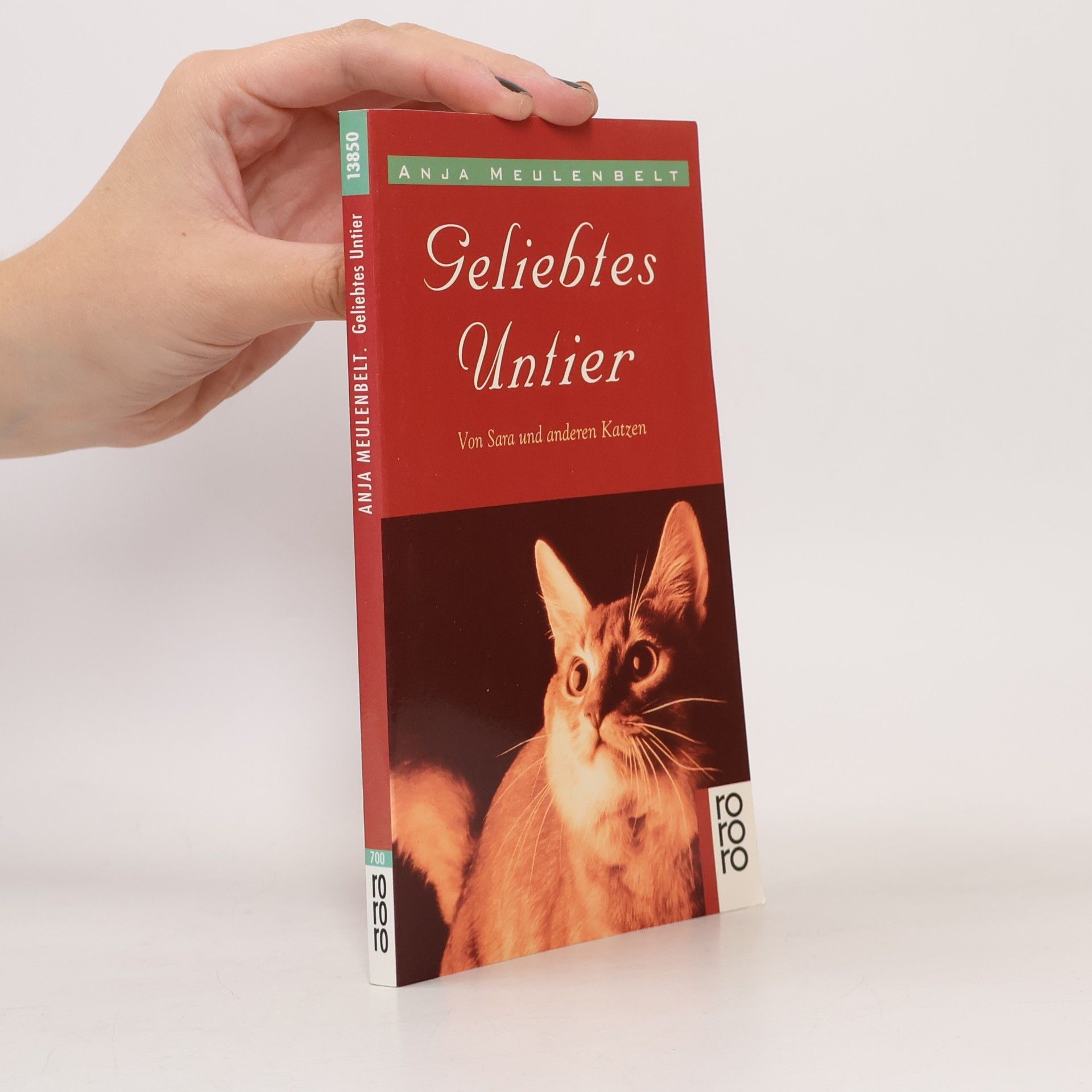 Anja Meulenbelt Geliebtes Untier