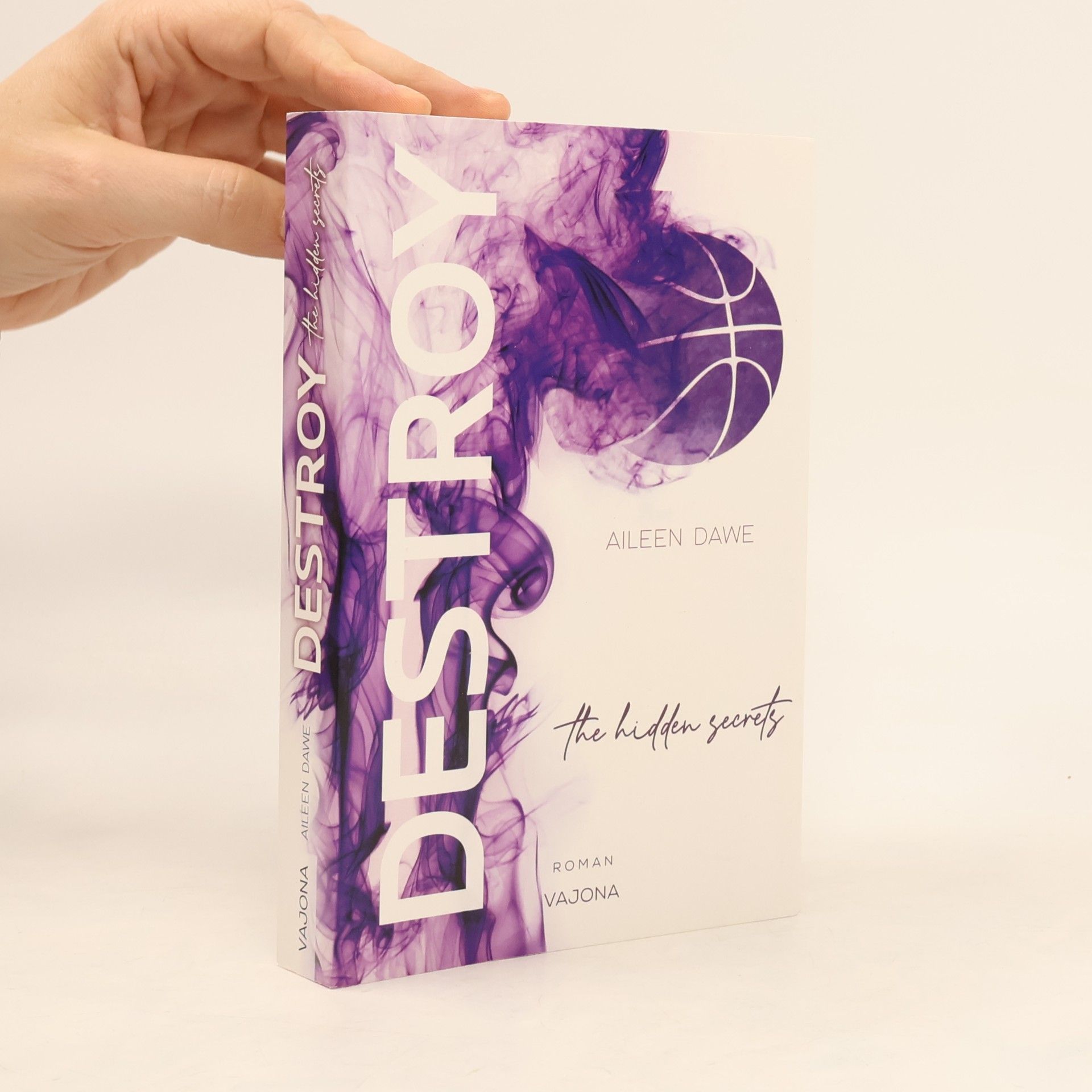 Aileen Dawe DESTROY the hidden secrets (DESTROY-Reihe 1)