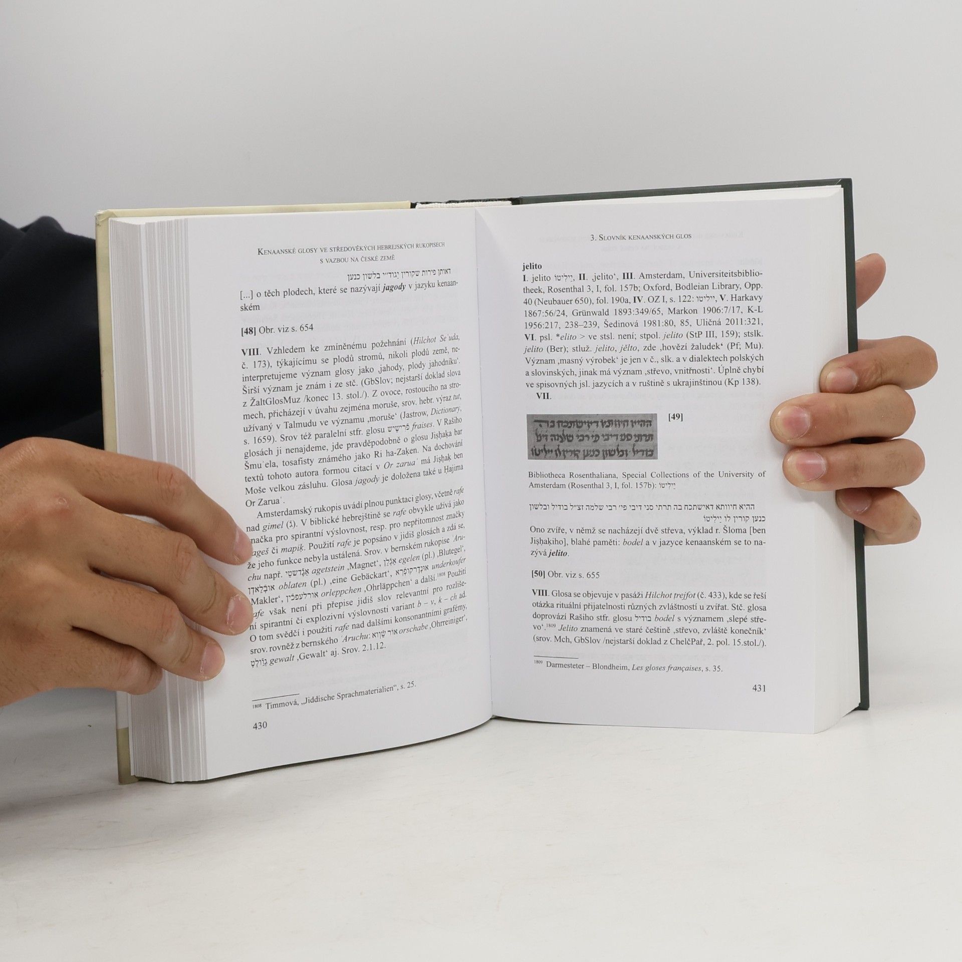 Various authors Kenaanské glosy ve středověkých hebrejských rukopisech s vazbou na české země