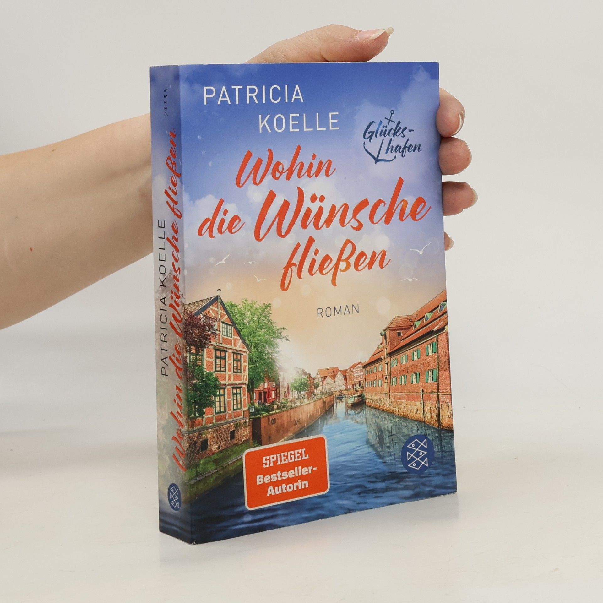 Patricia Koelle Wohin die Wünsche fließen