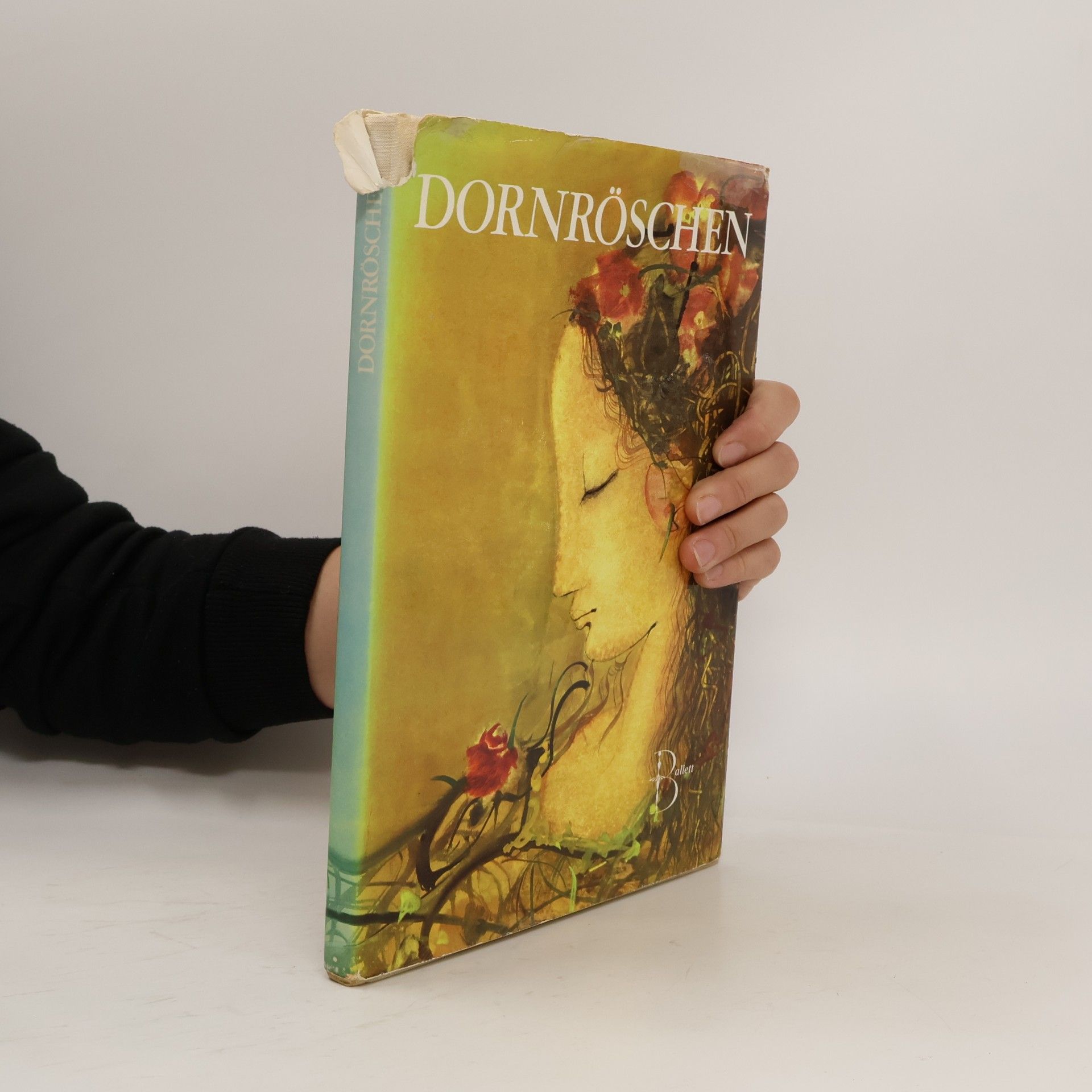 Ota Janeček Dornröschen