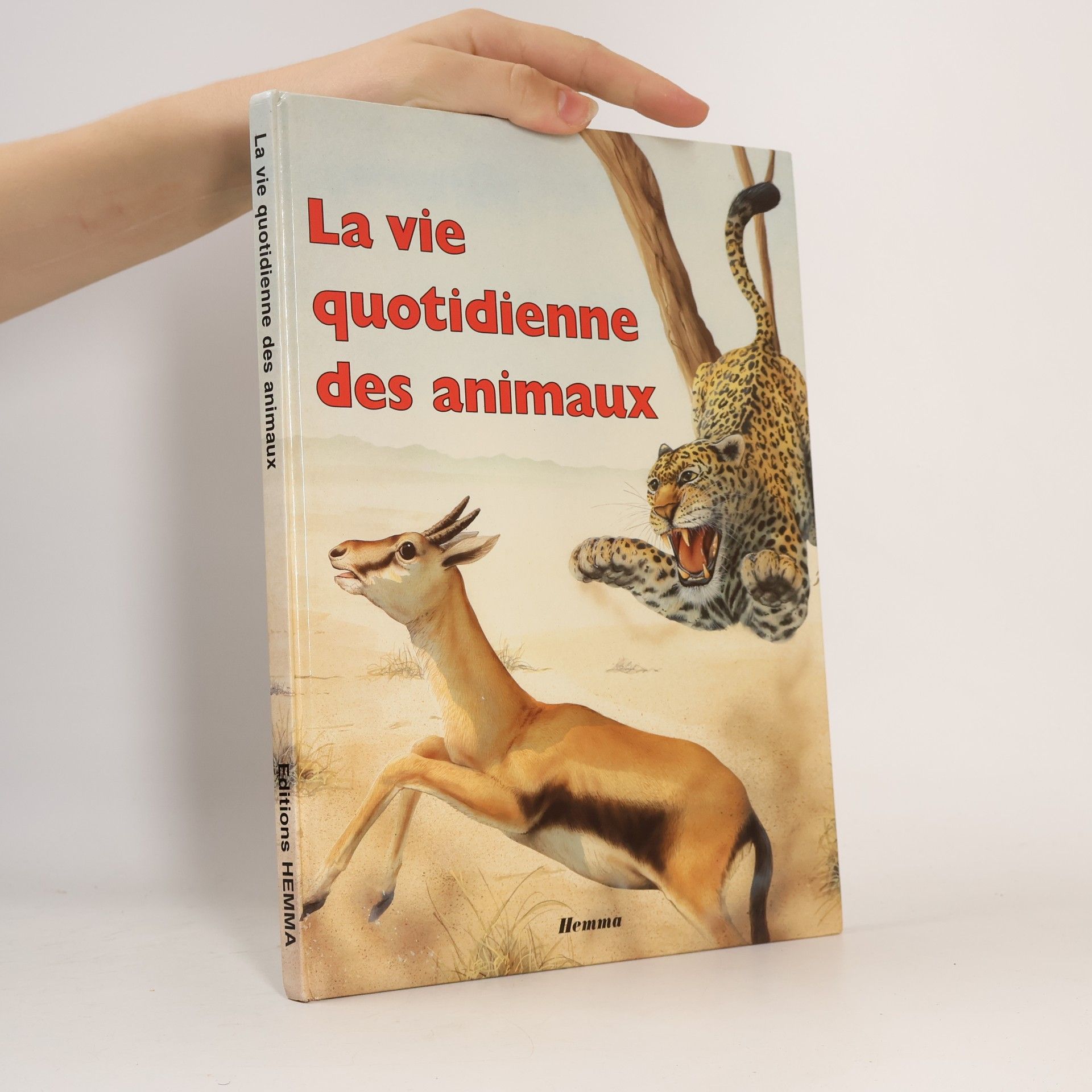 kolektiv La vie quotidienne des animaux