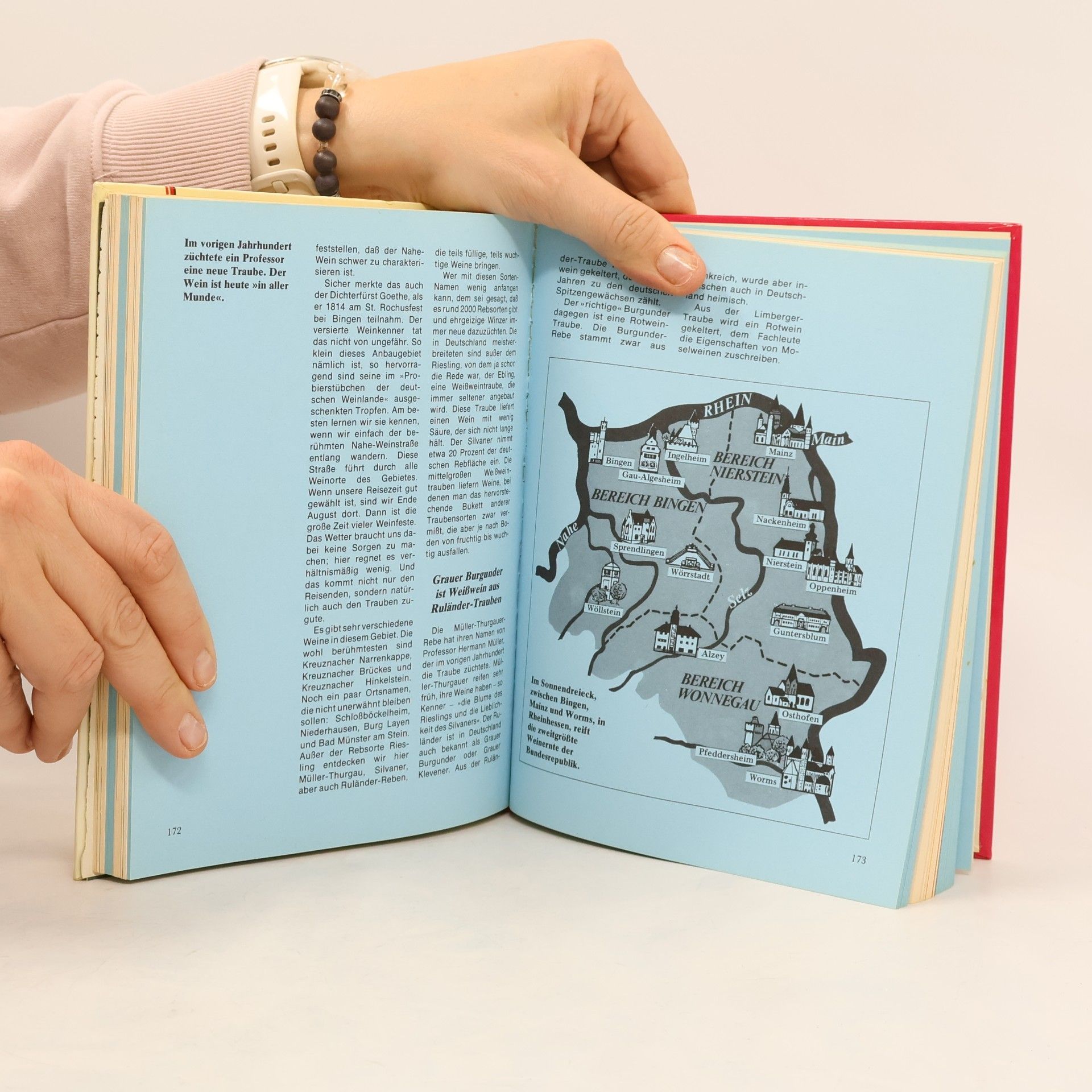 Autorenkollektiv Die Grosse Welt der Getränke