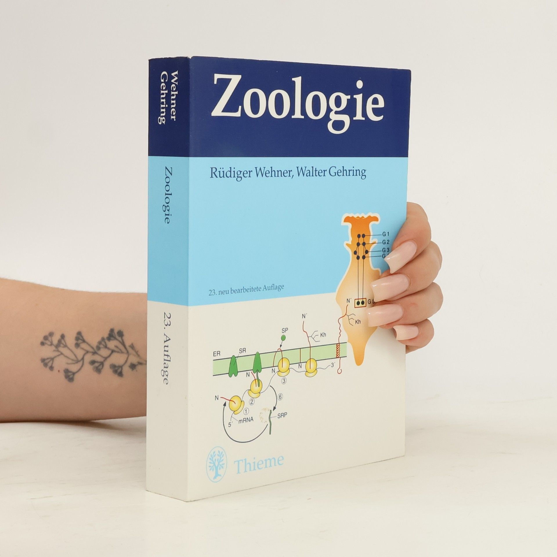 Rüdiger Wehner Zoologie