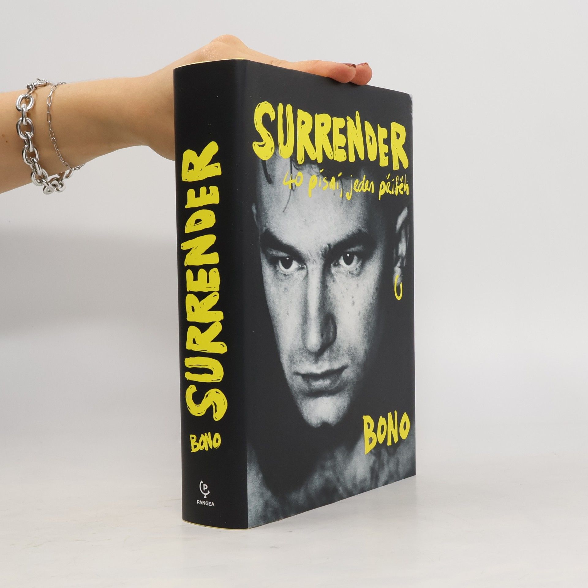 Bono Surrender : 40 písní, jeden příběh