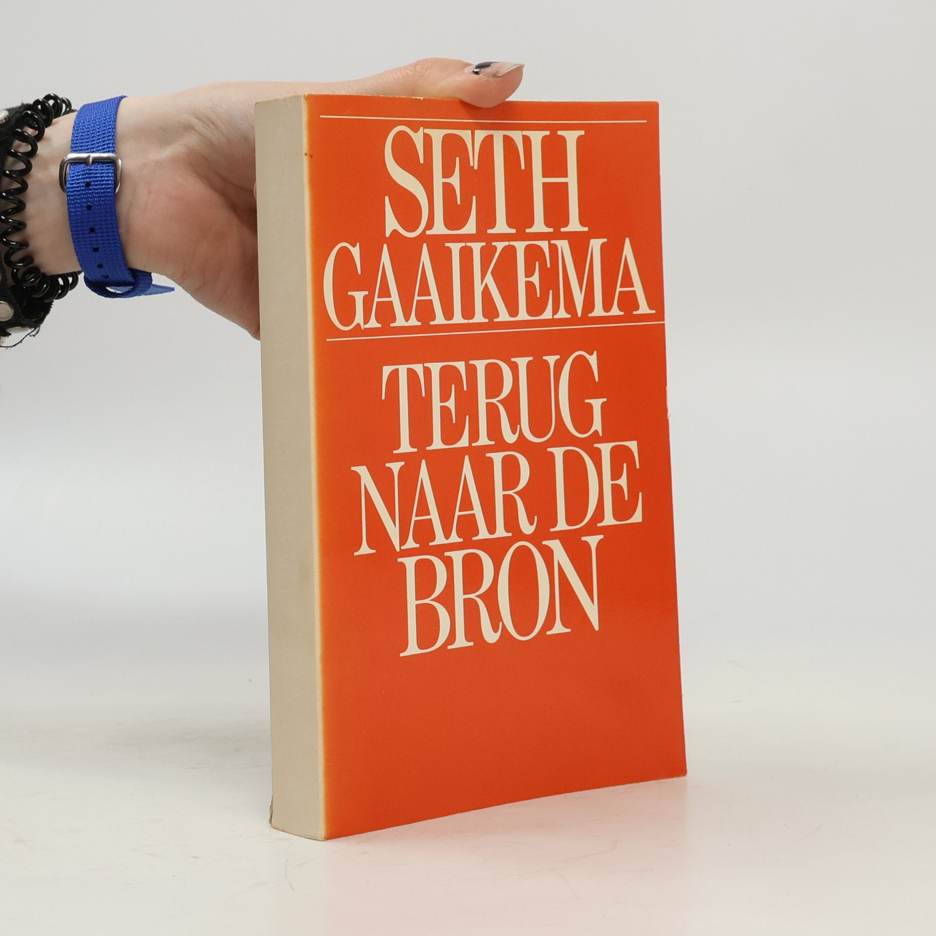 Seth Regner Gaaikema Terug naar de bron