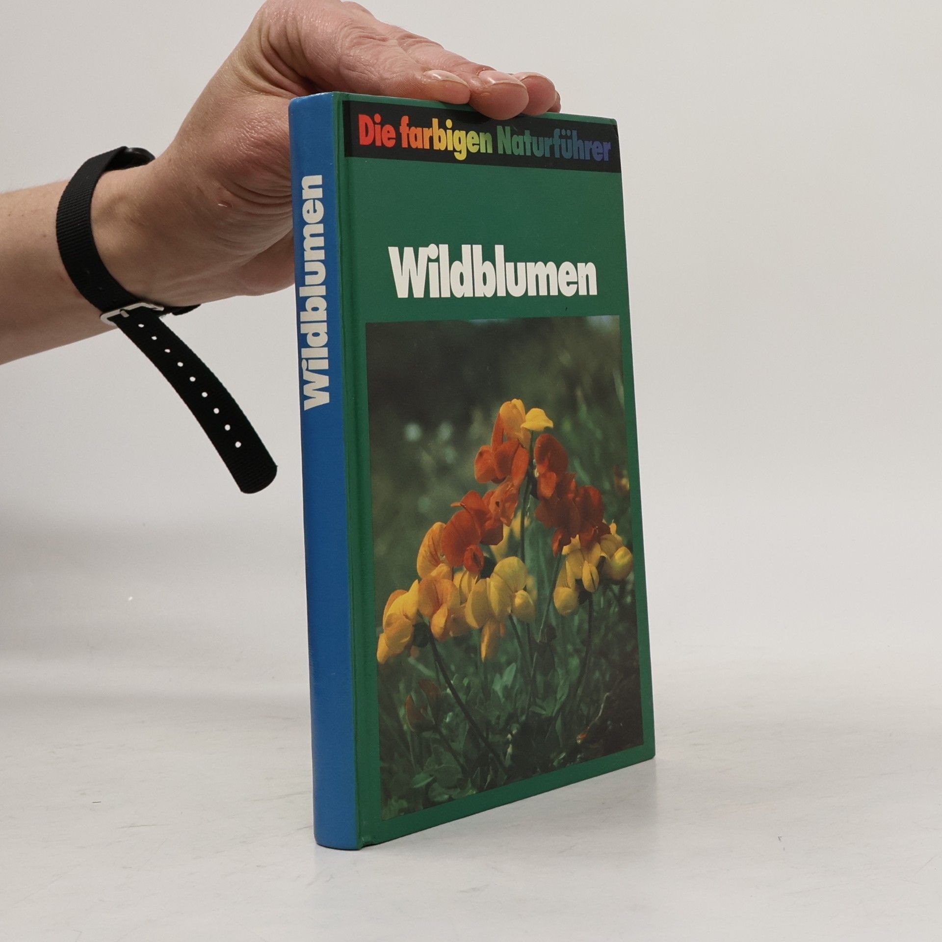 Autorenkollektiv Wildblumen