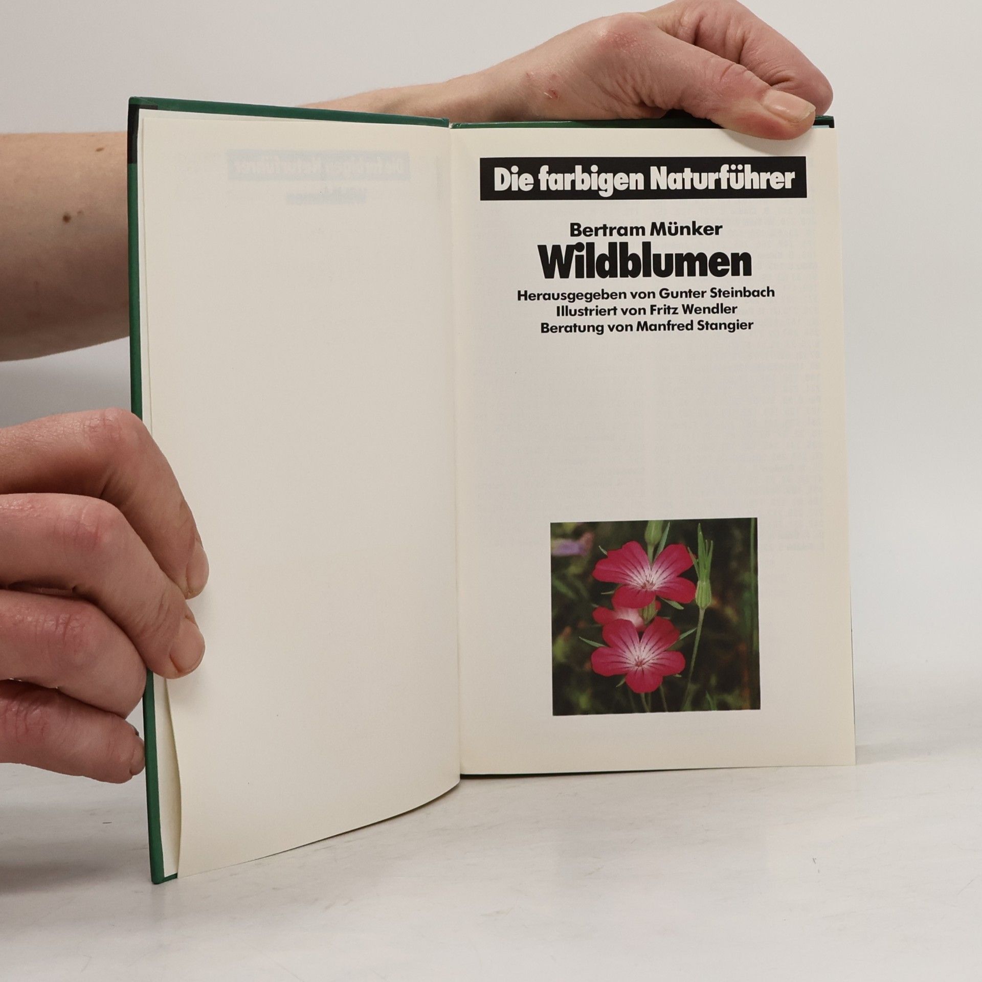 Autorenkollektiv Wildblumen
