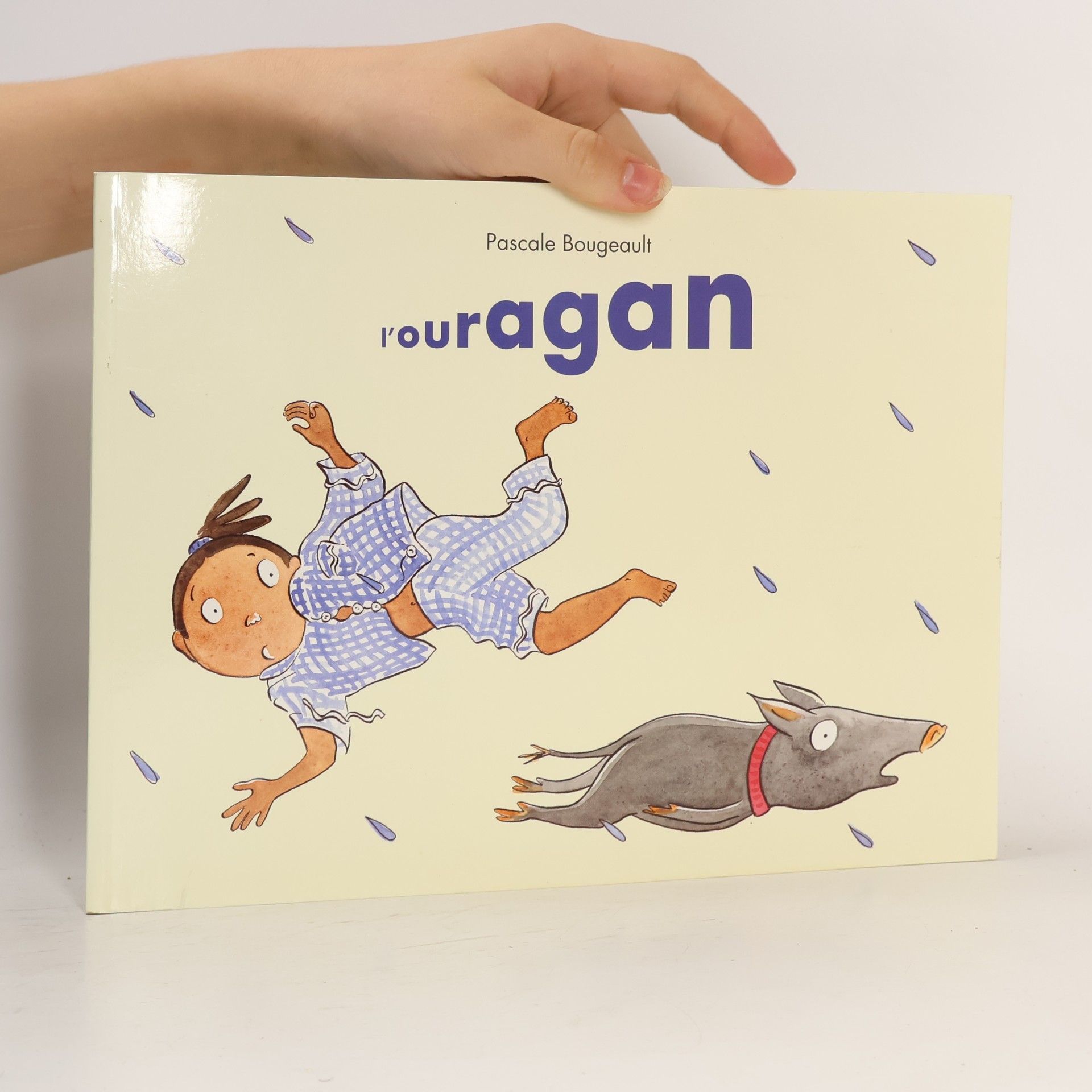 Pascale Bougeault L'ouragan